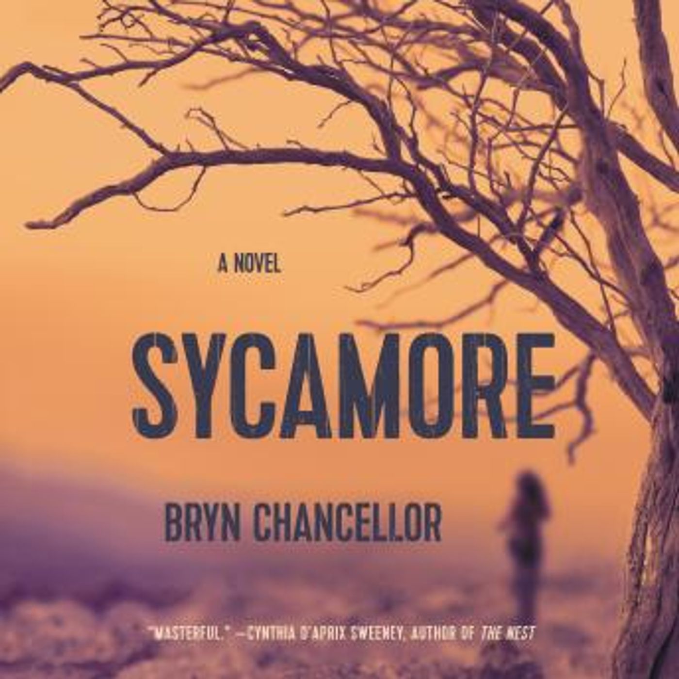 Sycamore: A Novel by Bryn Chancellor episode artwork