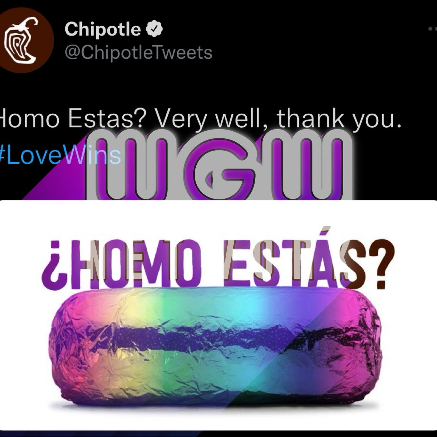 #114 - ¿Homo Estás?