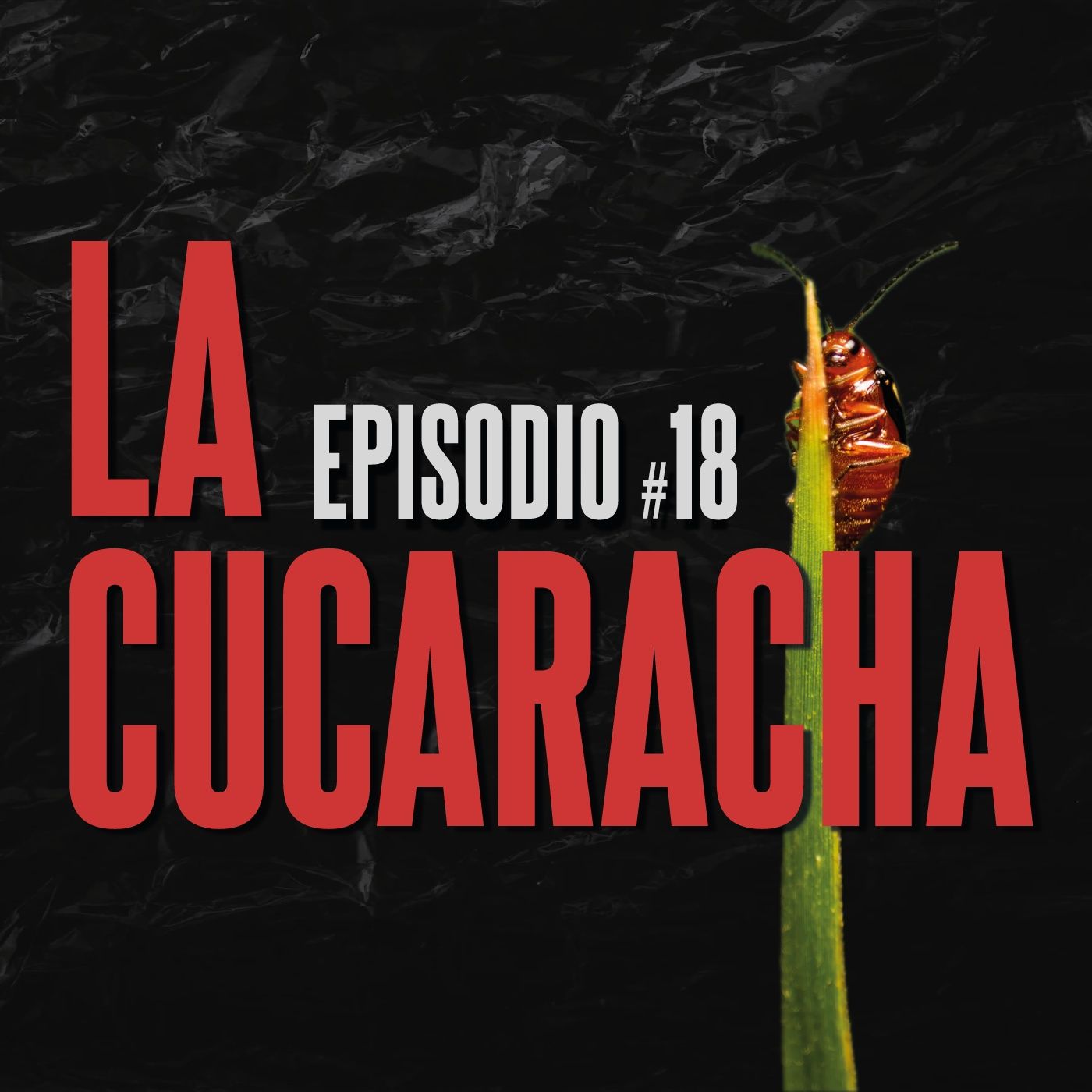 #18. La cucaracha episode artwork