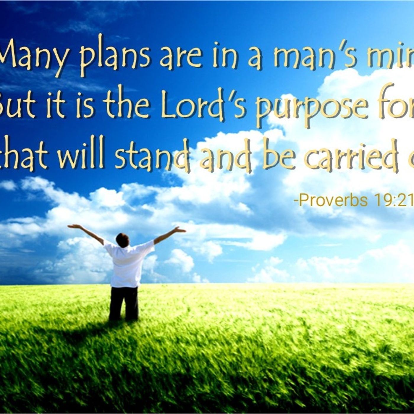 A Purposeful Life episode artwork