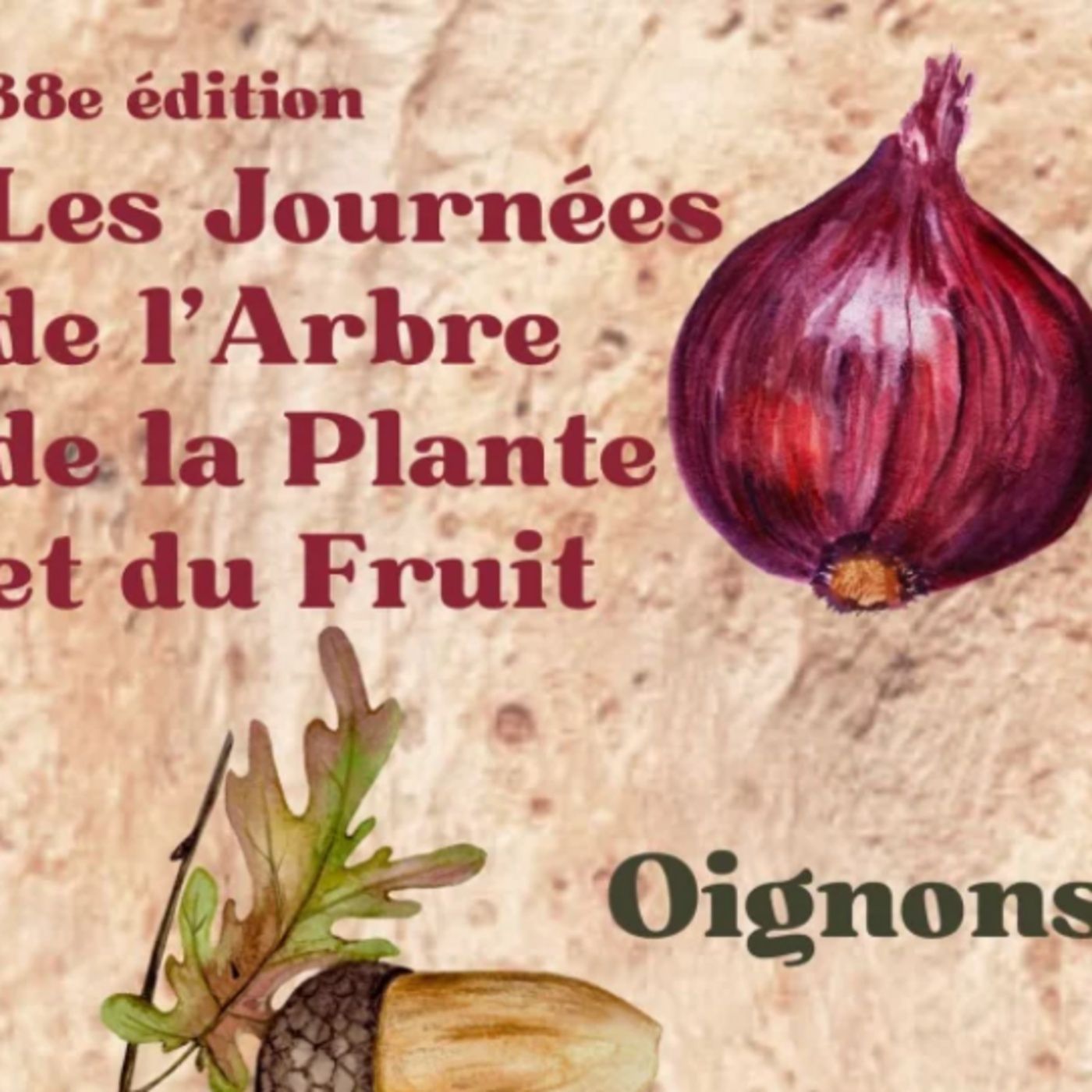 Informations locales du jeudi 28 novembre : Retour sur les journées de l’arbre, de la plante et du fruit à Quissac