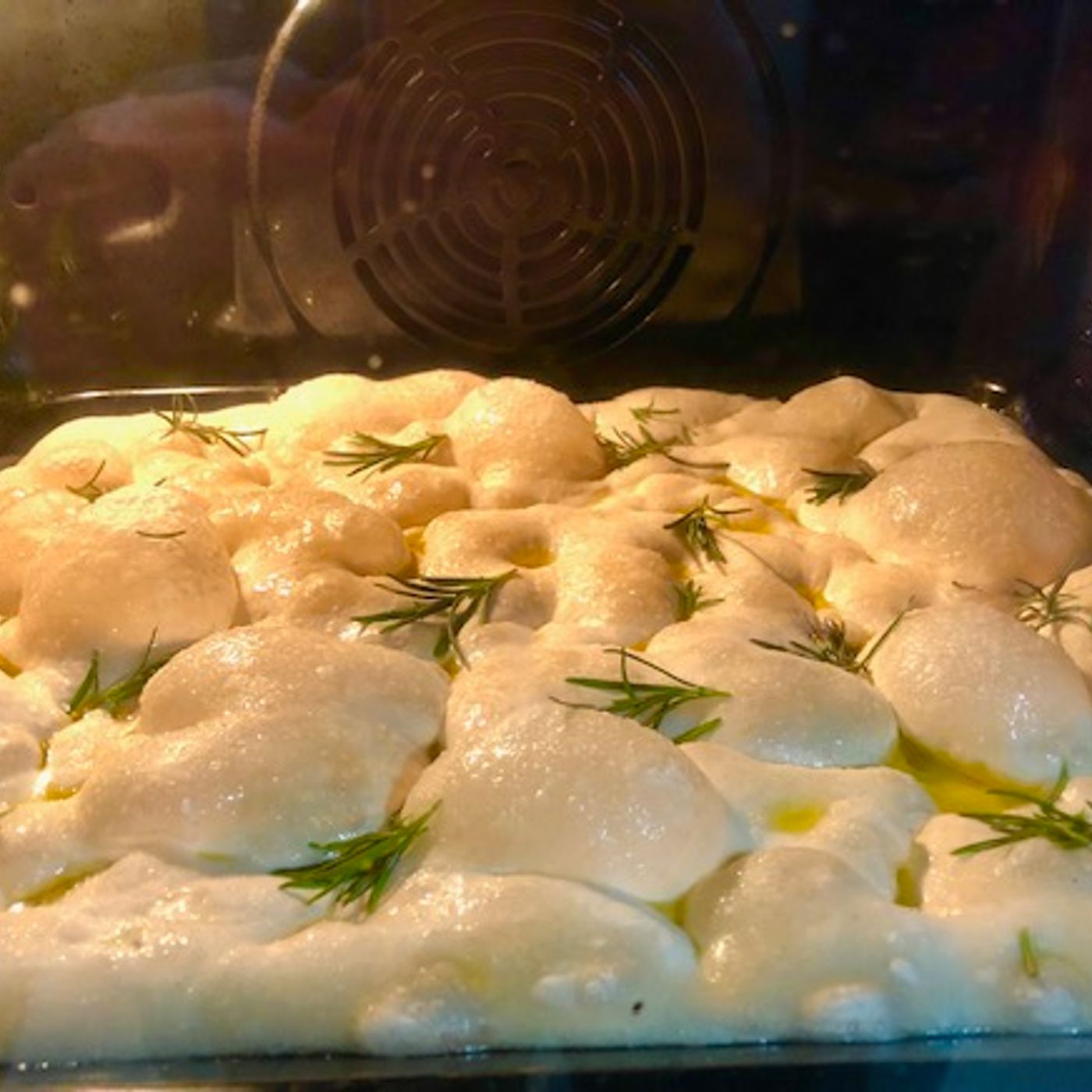 Focaccia alta idratazione che tutti vorrebbero: Ricetta esclusiva con licoli di Animaincucina episode artwork