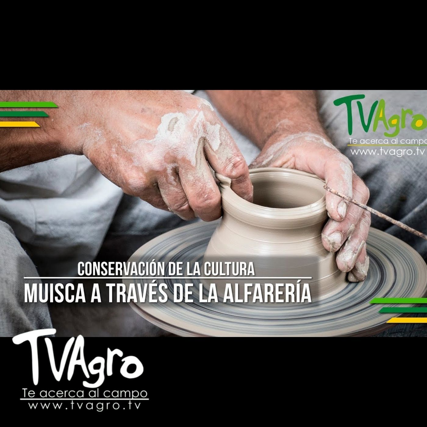 TV AGRO