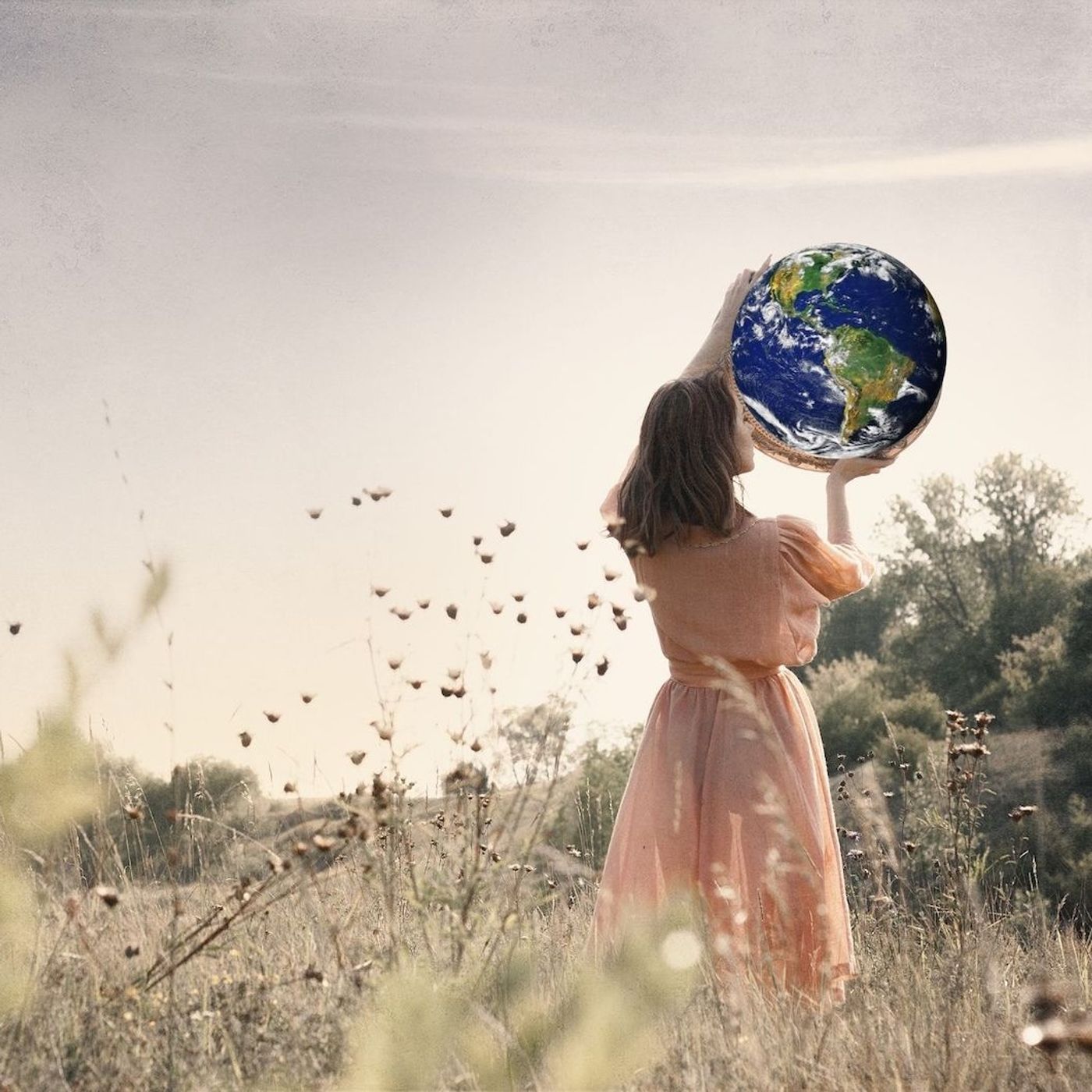 Pop-up Green: moda e sostenibilità senza greenwashing