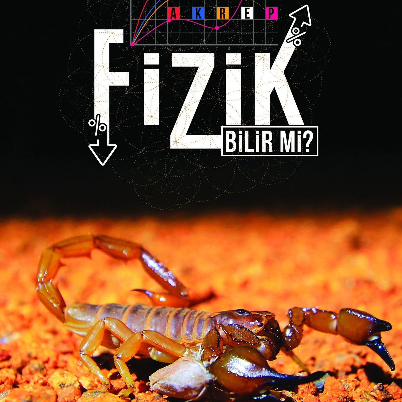 Akrep Fizik Bilir mi? episode artwork
