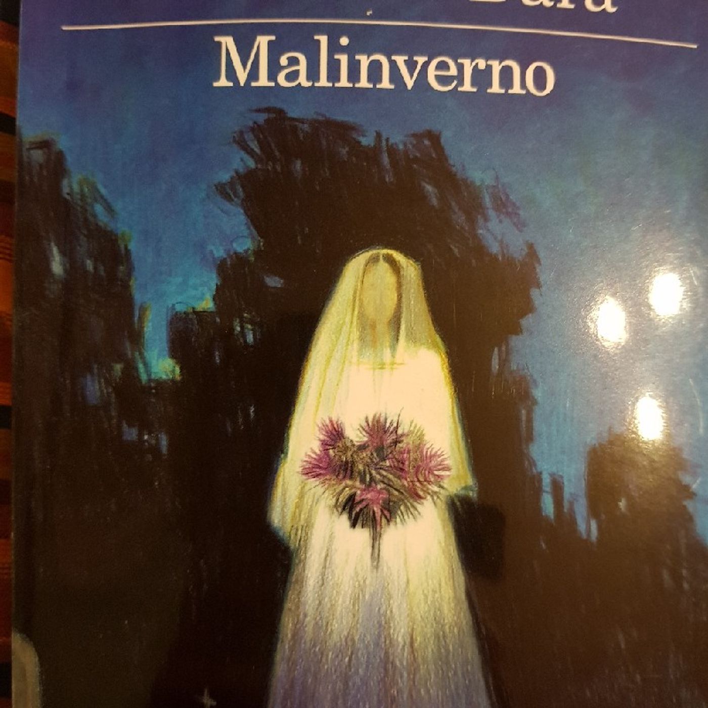 Domenico Dara : Malinverno