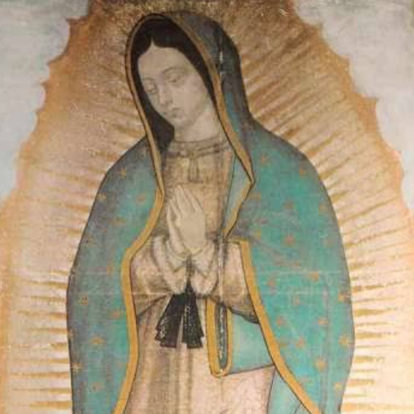 Visita a la Santísima Virgen de Guadalupe episode artwork