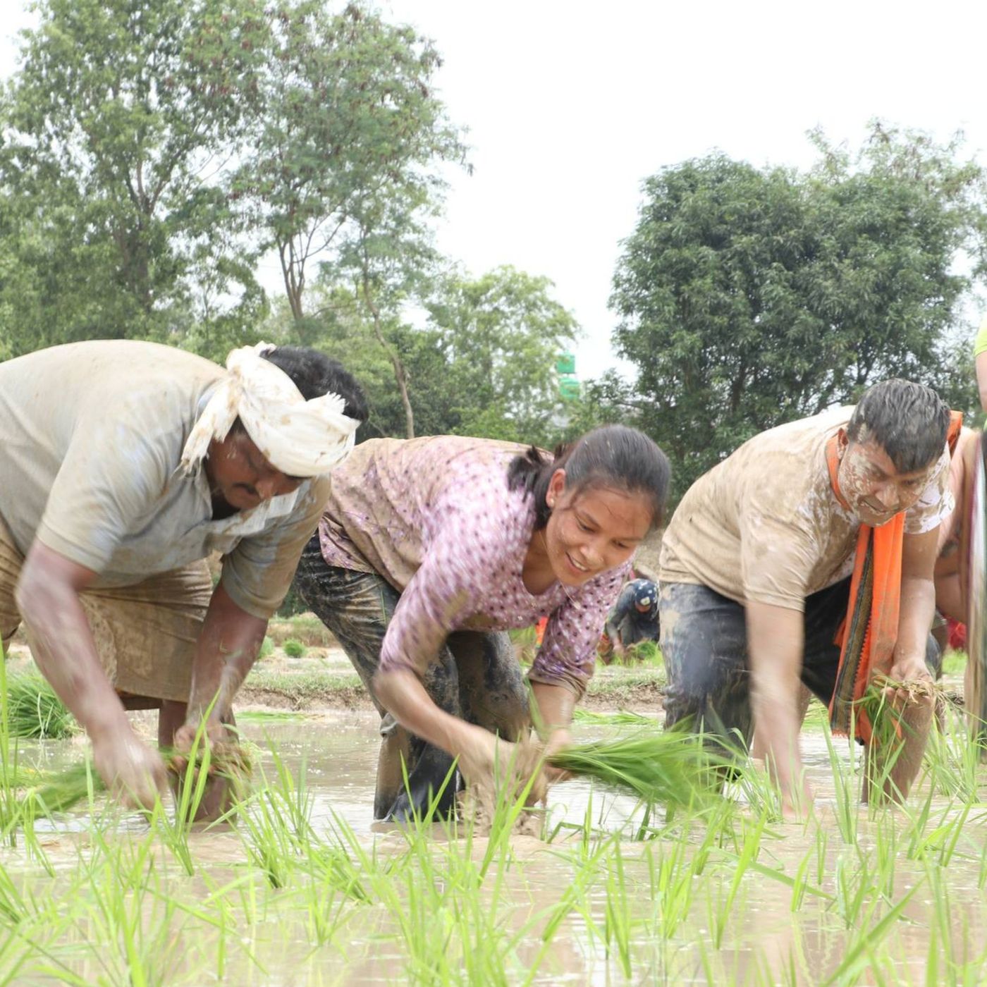 Energy Development And Its Impacts On Indigenous Peoples - Nepali -