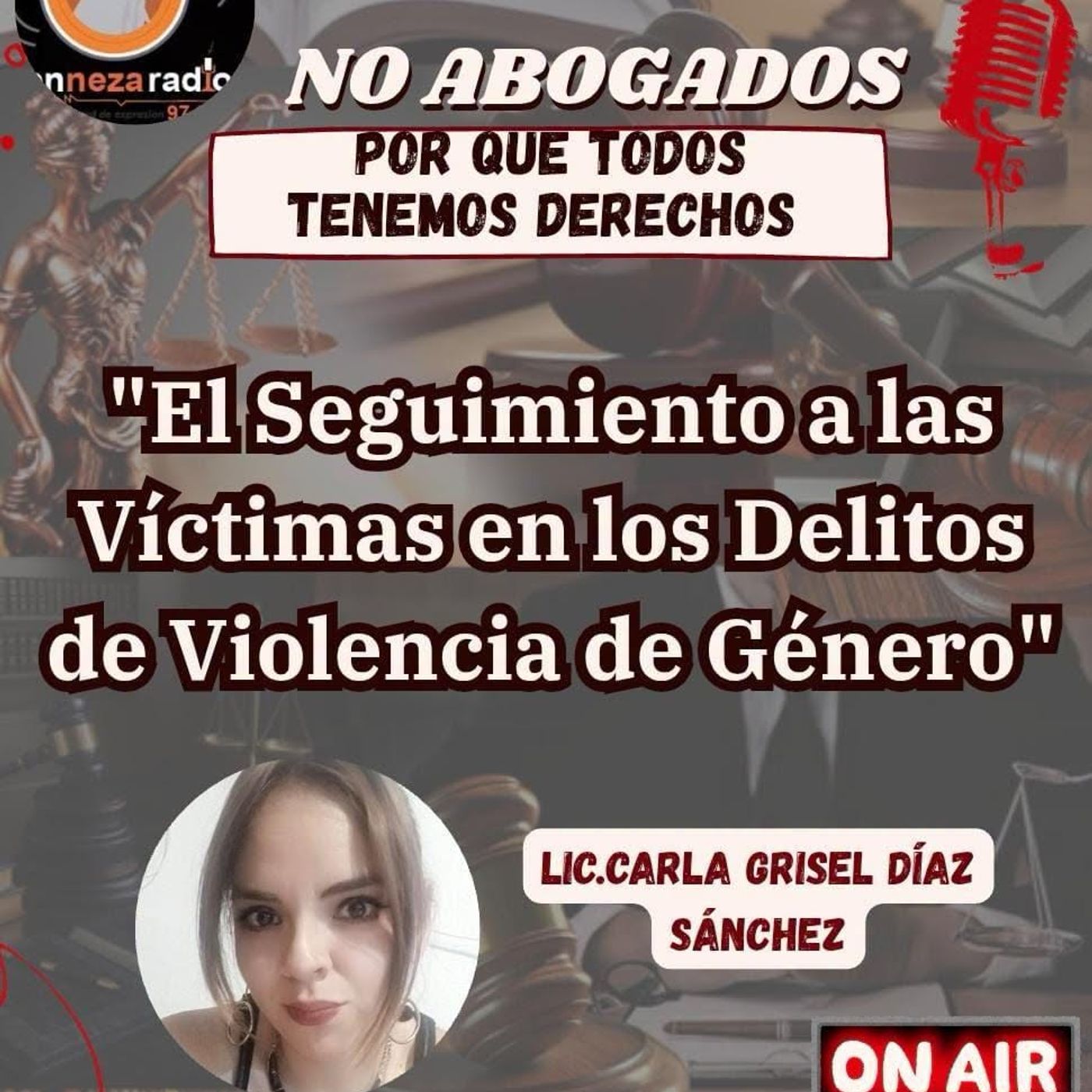 El Seguimiento a las Víctimas en los Delitos de Violencia de Género Derecho para no Abogados episode artwork