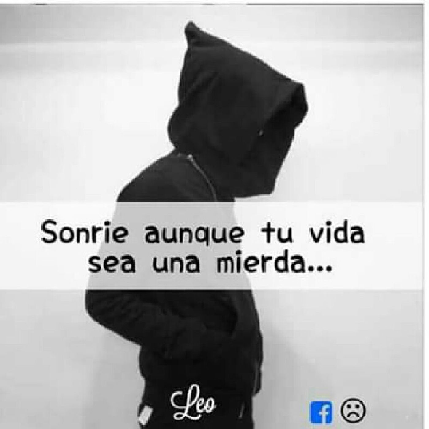 Primer Álbum cover art