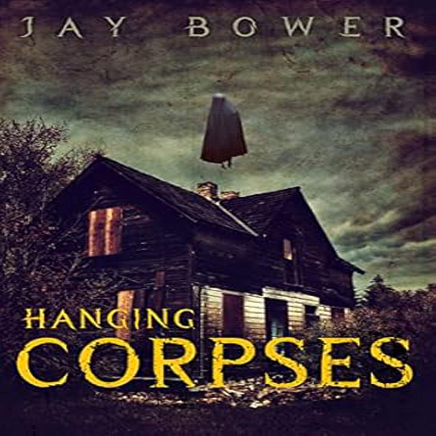 Author Jay Bower joins us. episode artwork