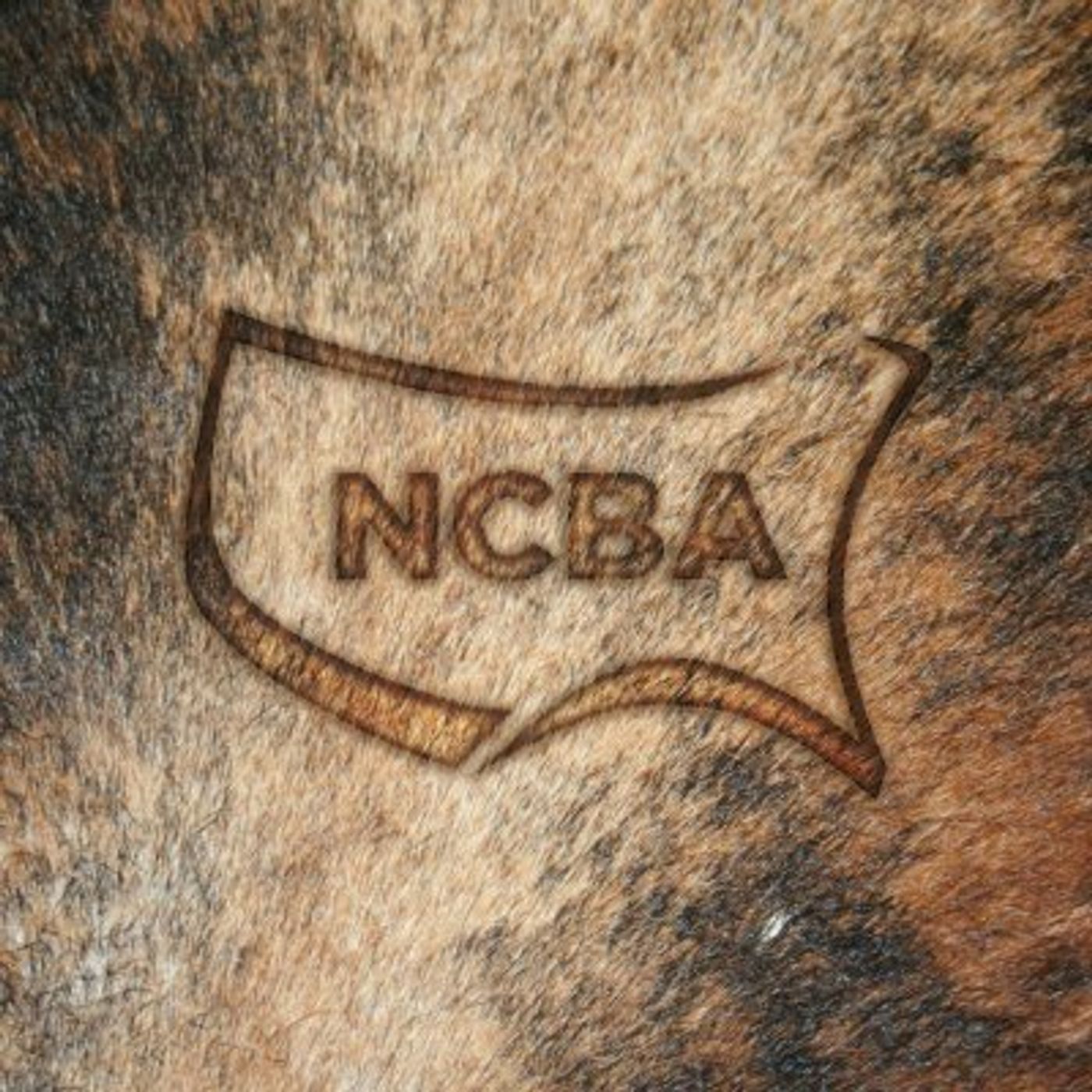 Cyrus Webb\'s tracks