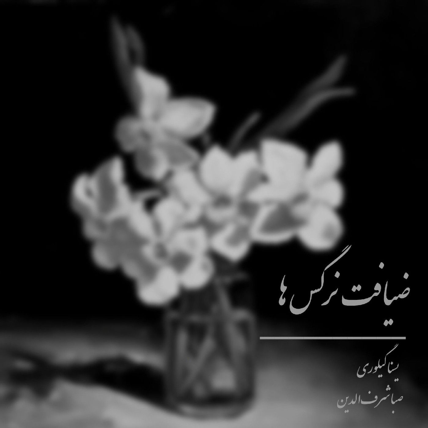 Ziyafate narges ha podcast artwork
