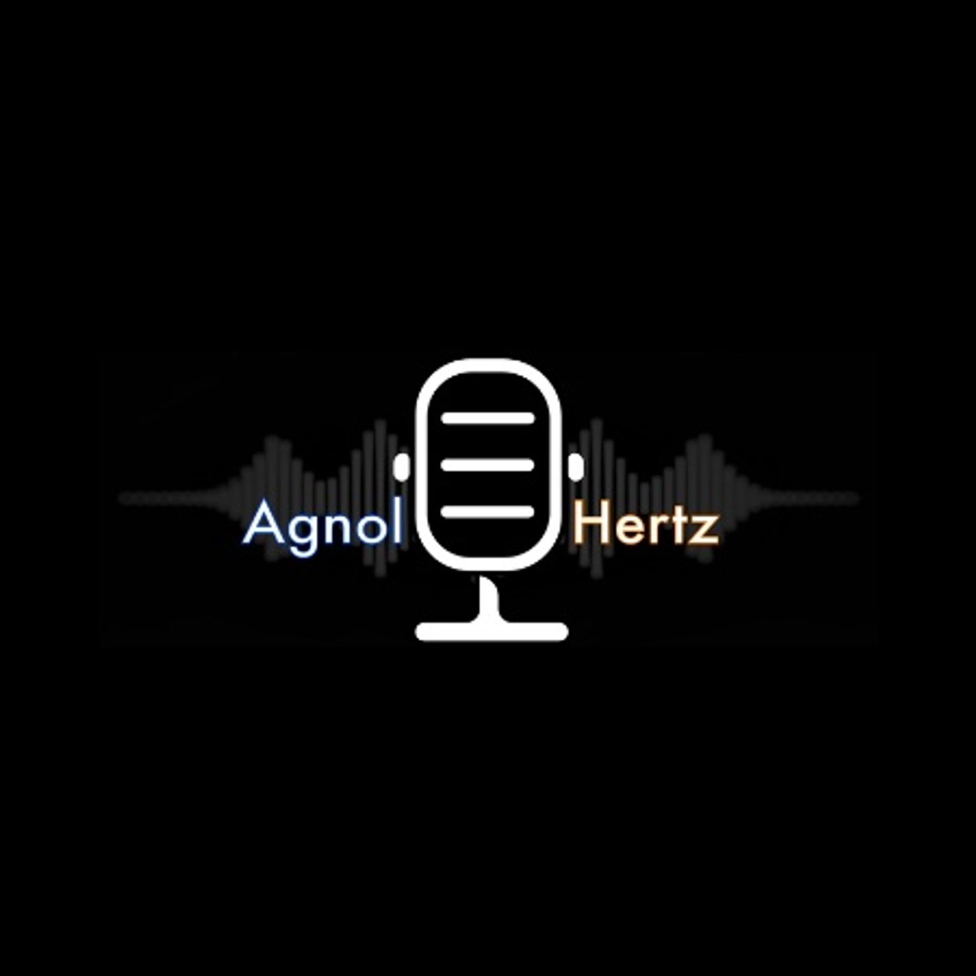 Agnol-hertz: la web radio dell'Agnoletti!