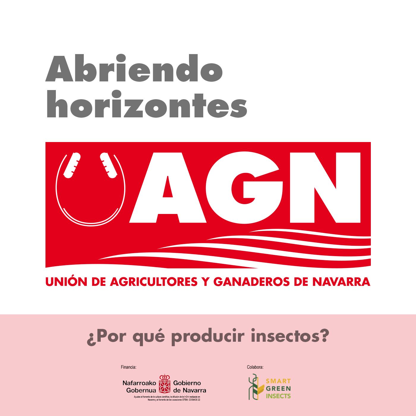 Abriendo horizontes: ¿Por qué producir insectos?
