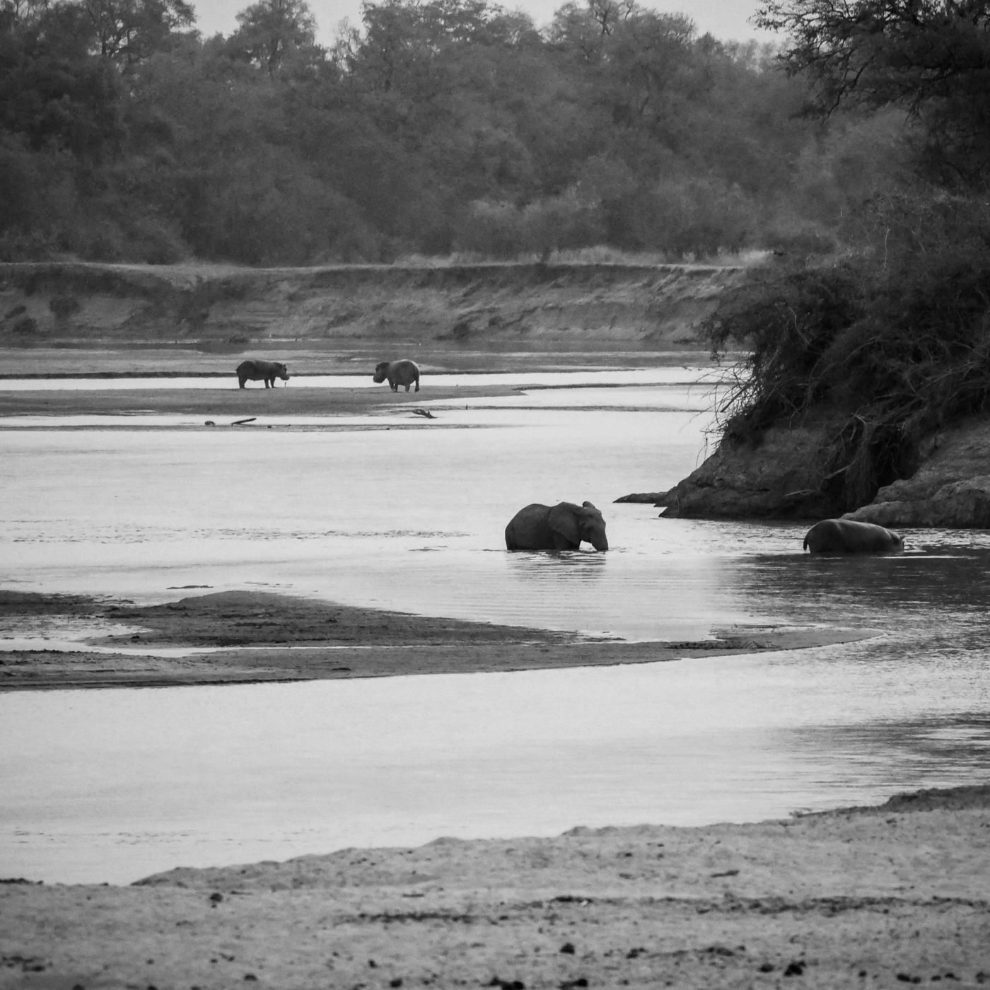 Zambia's Poisoned Waters: The China Mine Catastrophe episode artwork