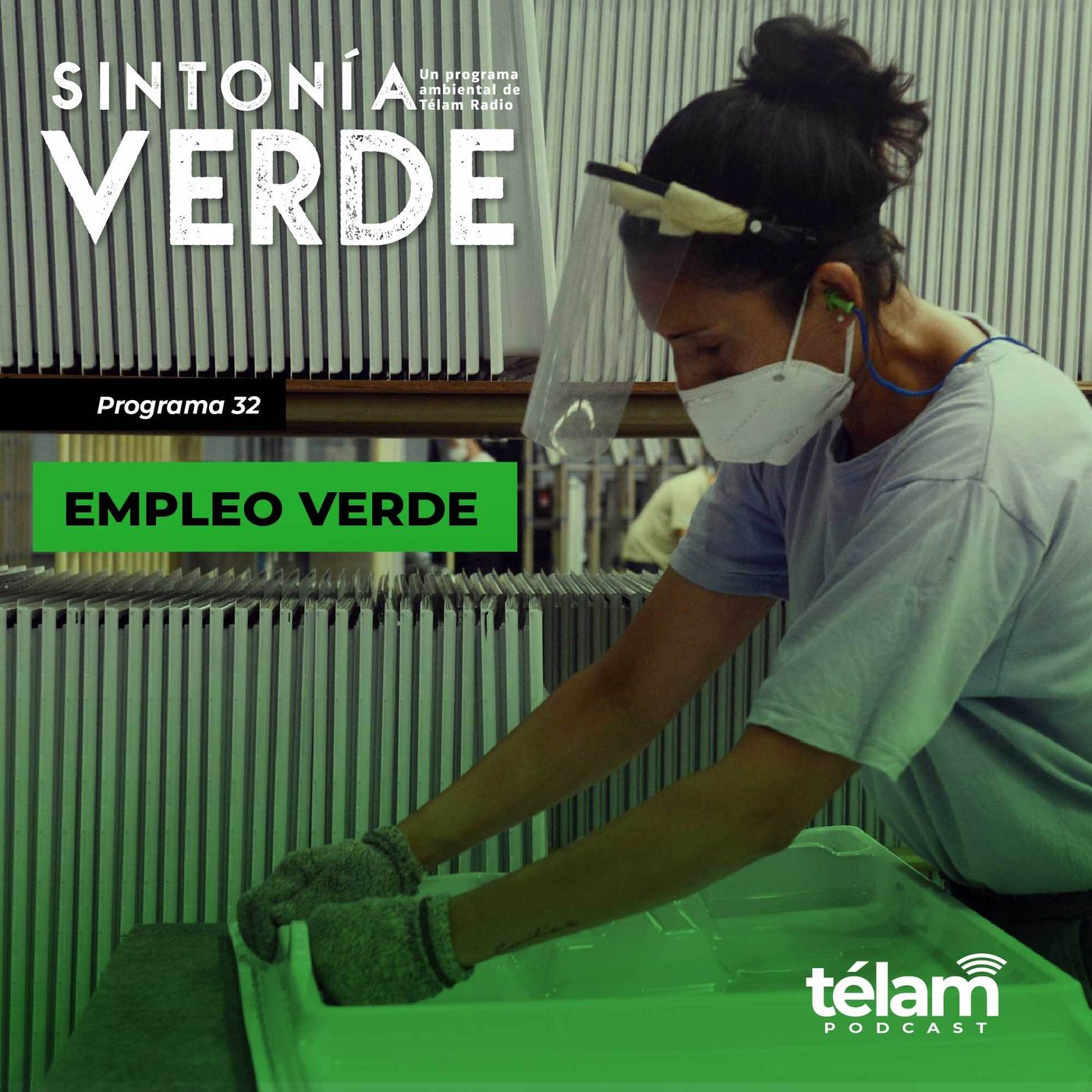 cover of episode Empleo Verde: Un abordaje sobre desarrollo sostenible