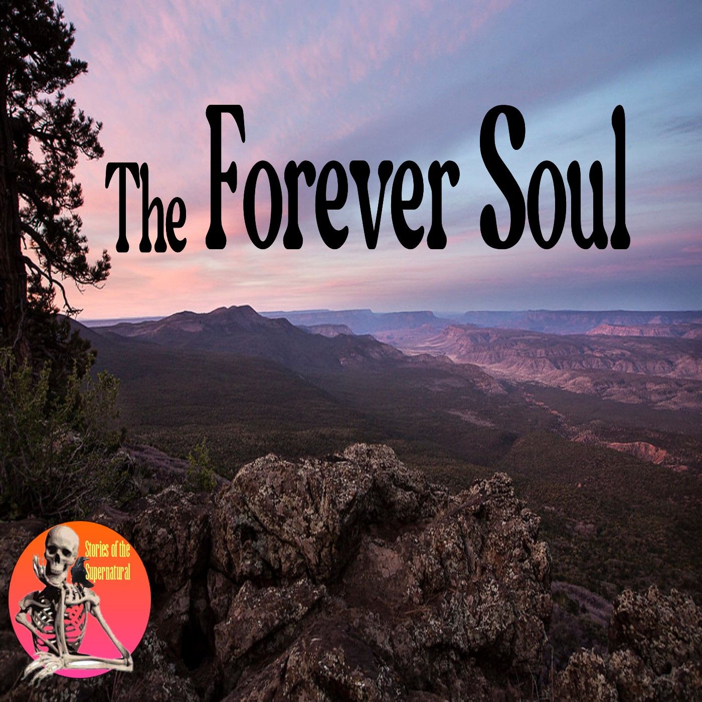 The Forever Soul | Interview with R. Craig Hogan | Podcast