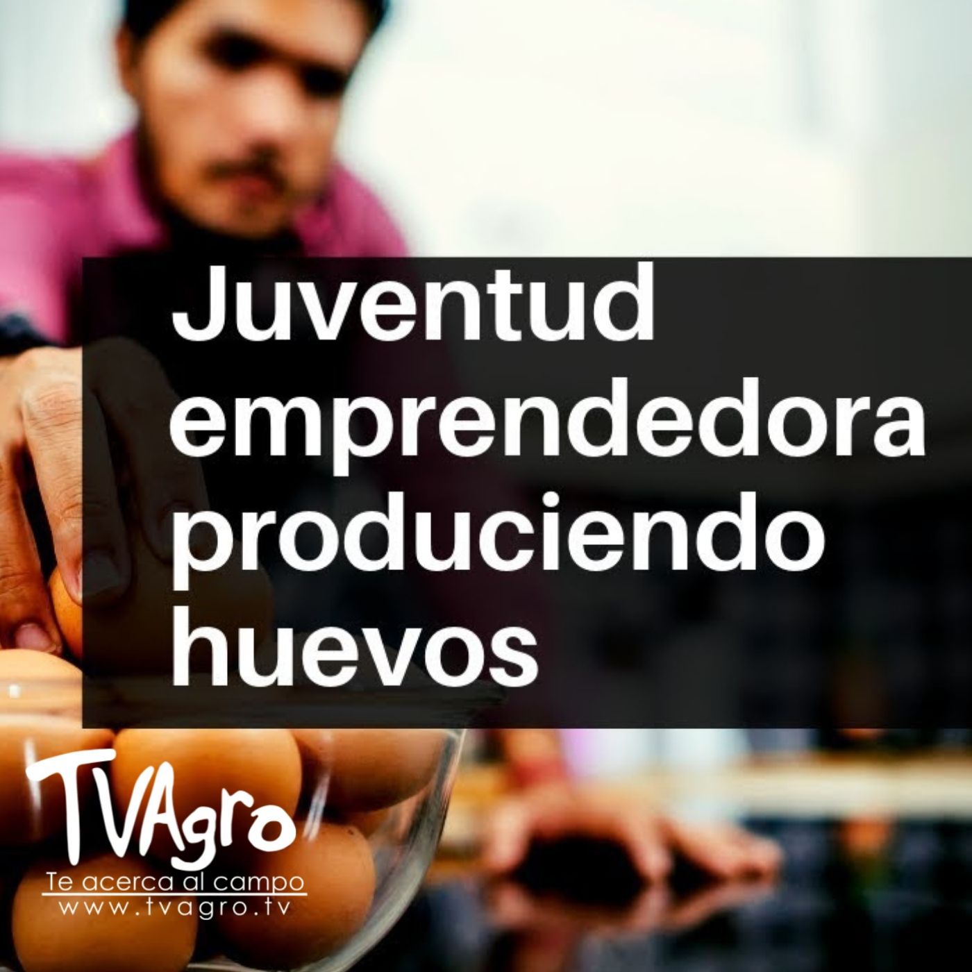 TV AGRO