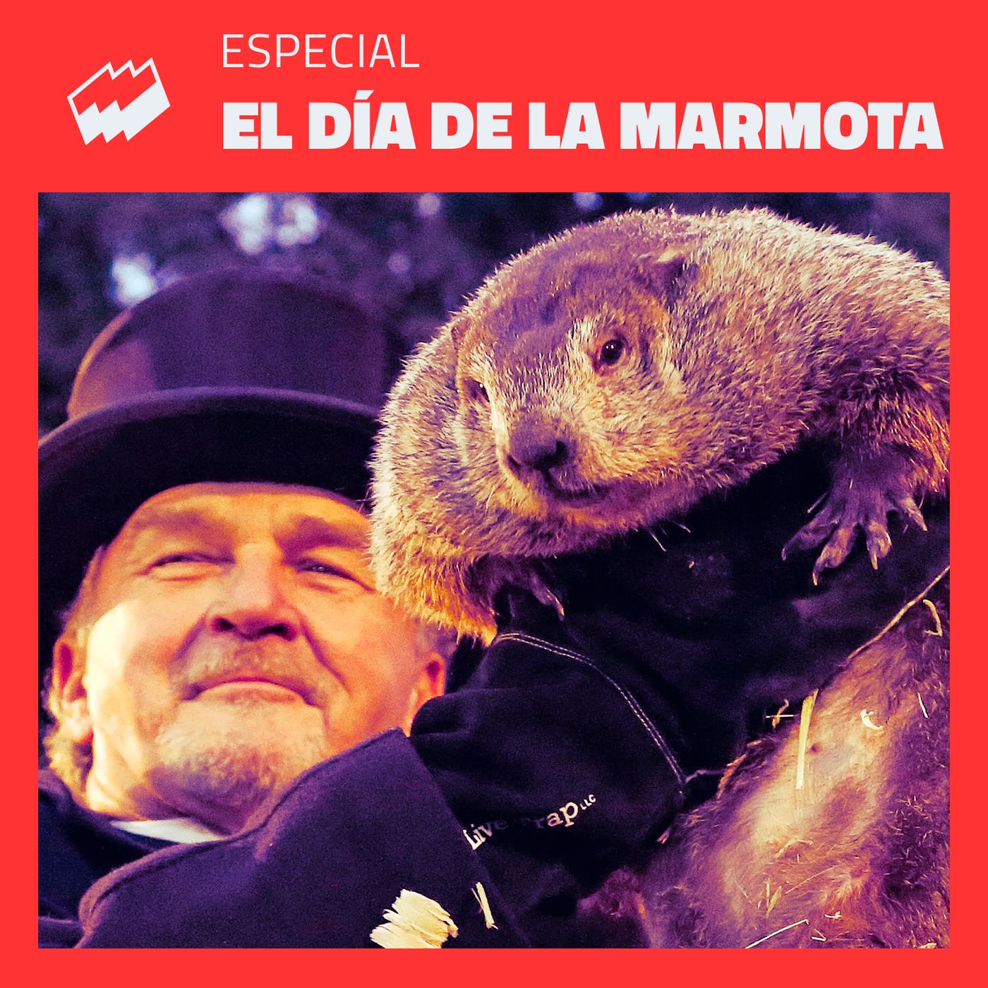 ENE - El día de la marmota: El Día de la Marmota