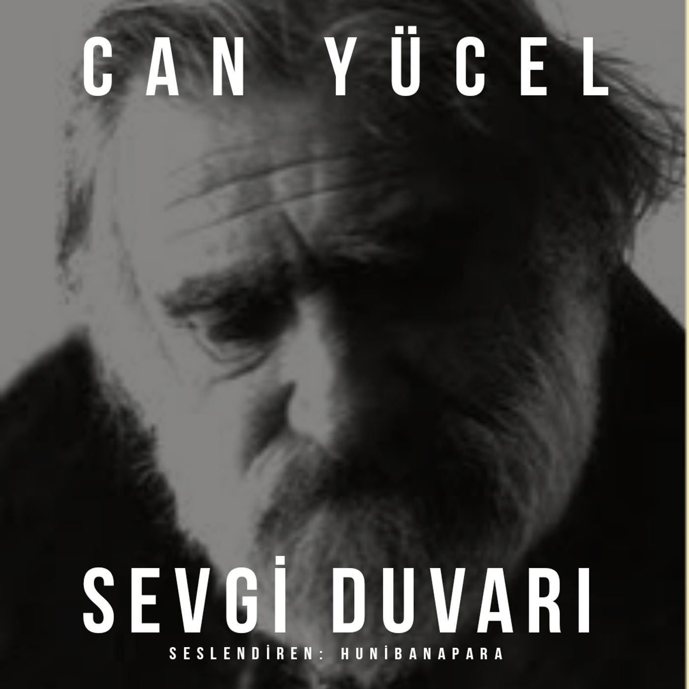 Şiirler ve Hikayeler