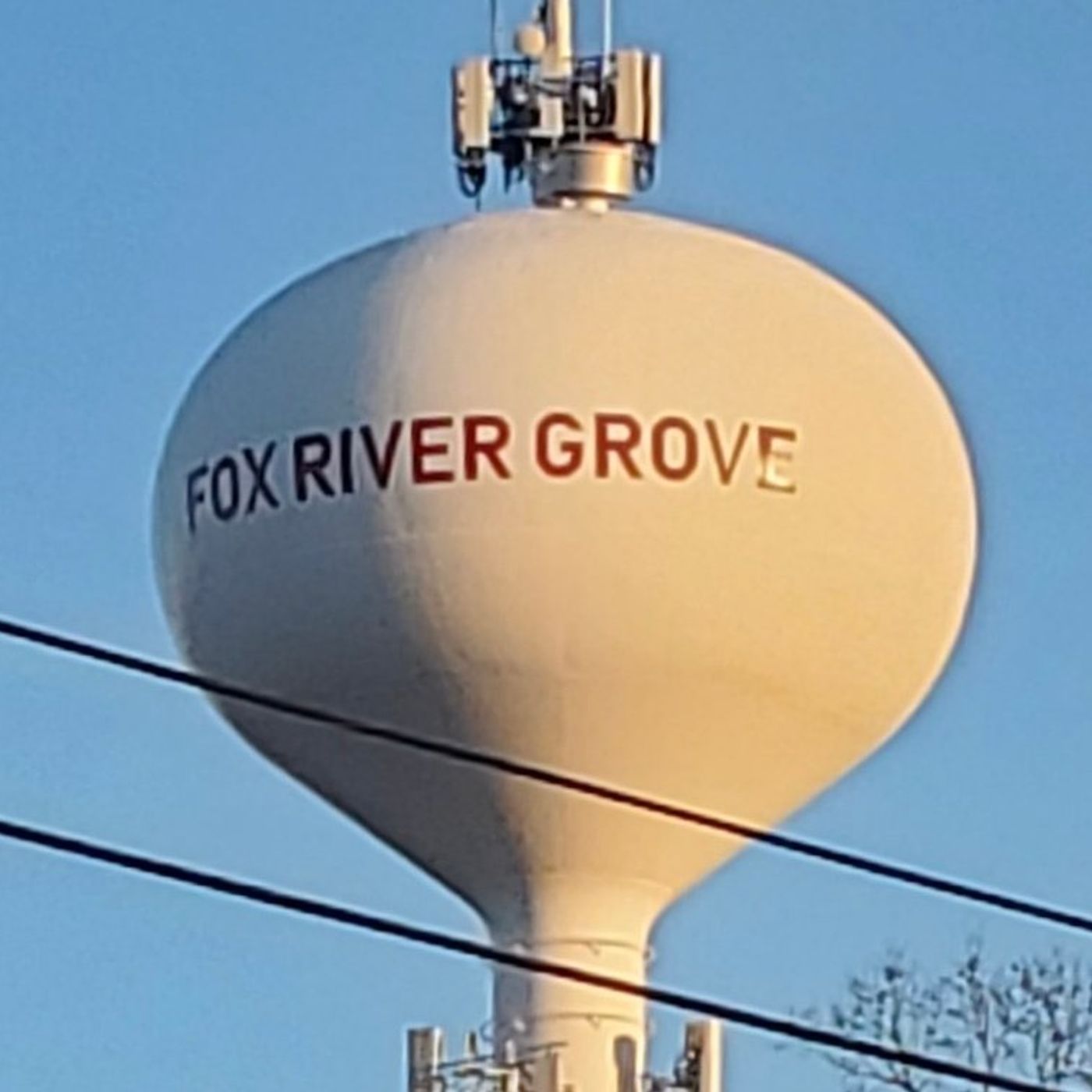 Fox River Grove trustee censured by board for ‘potentially slanderous’ comments episode artwork
