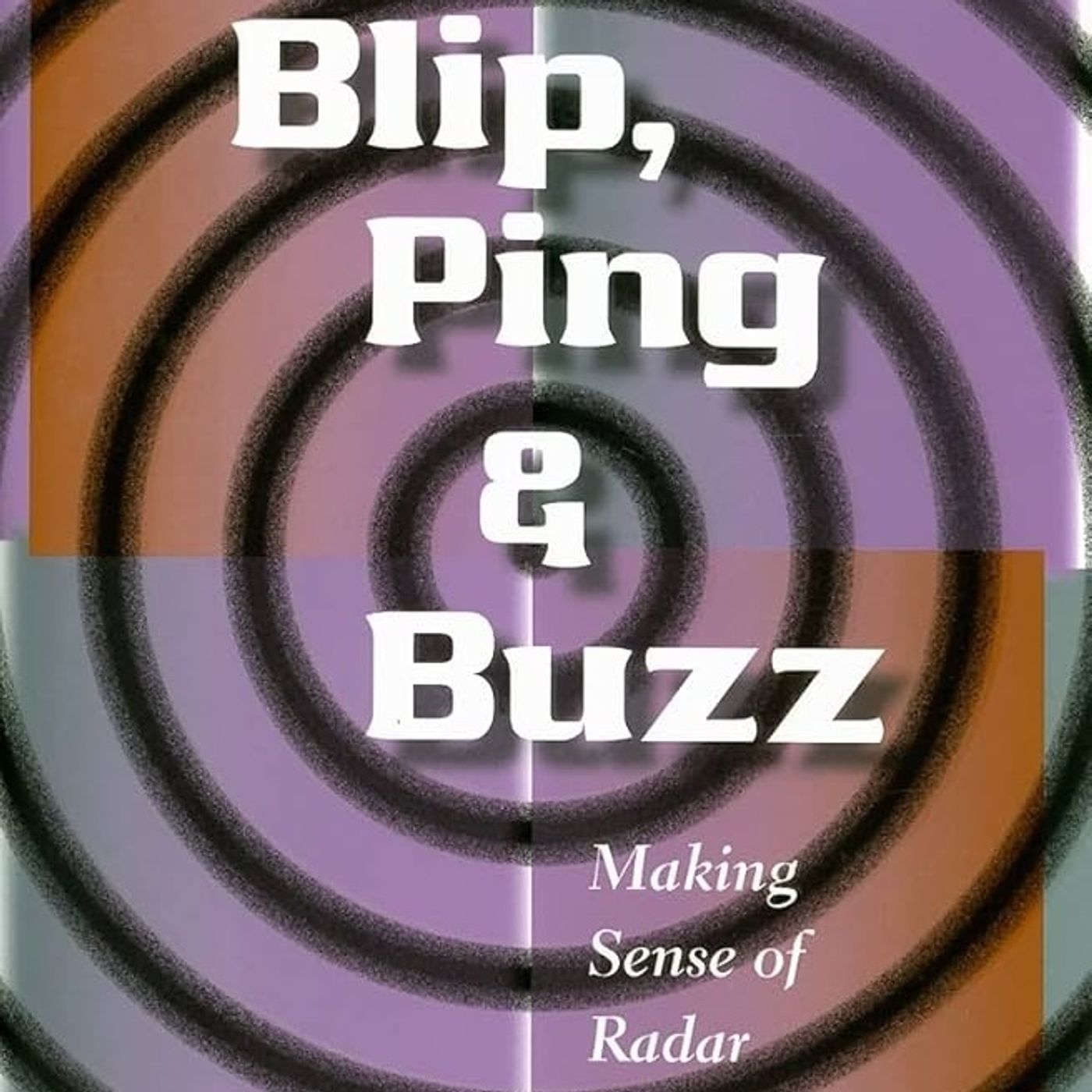 Blip, Ping, and Buzz: Making Sense of Radar and Sonar