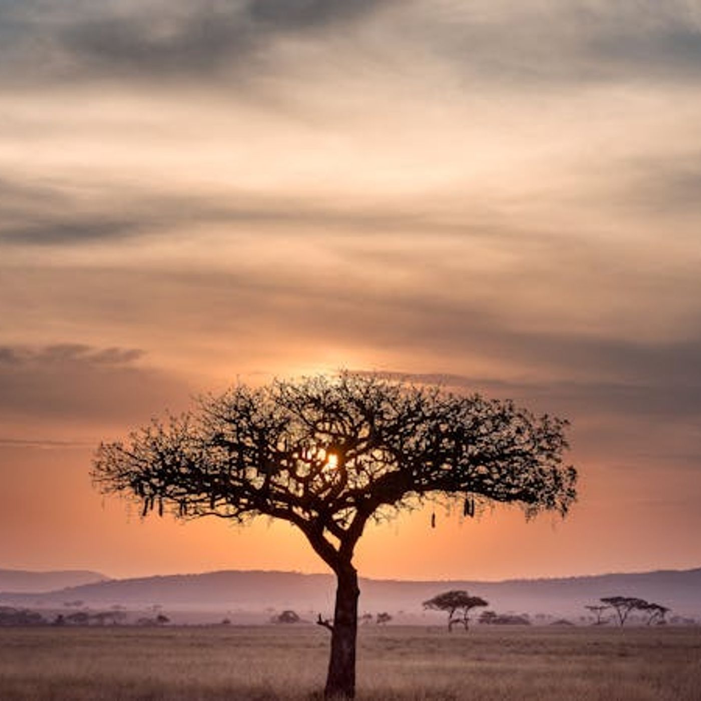 Why Have Africans Suffered So Much?