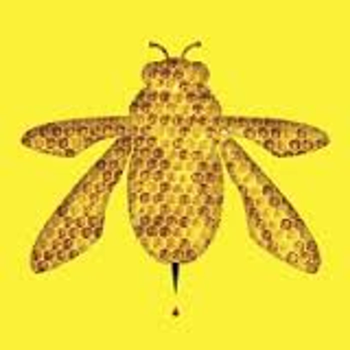 The Bee And Jupiter episode artwork