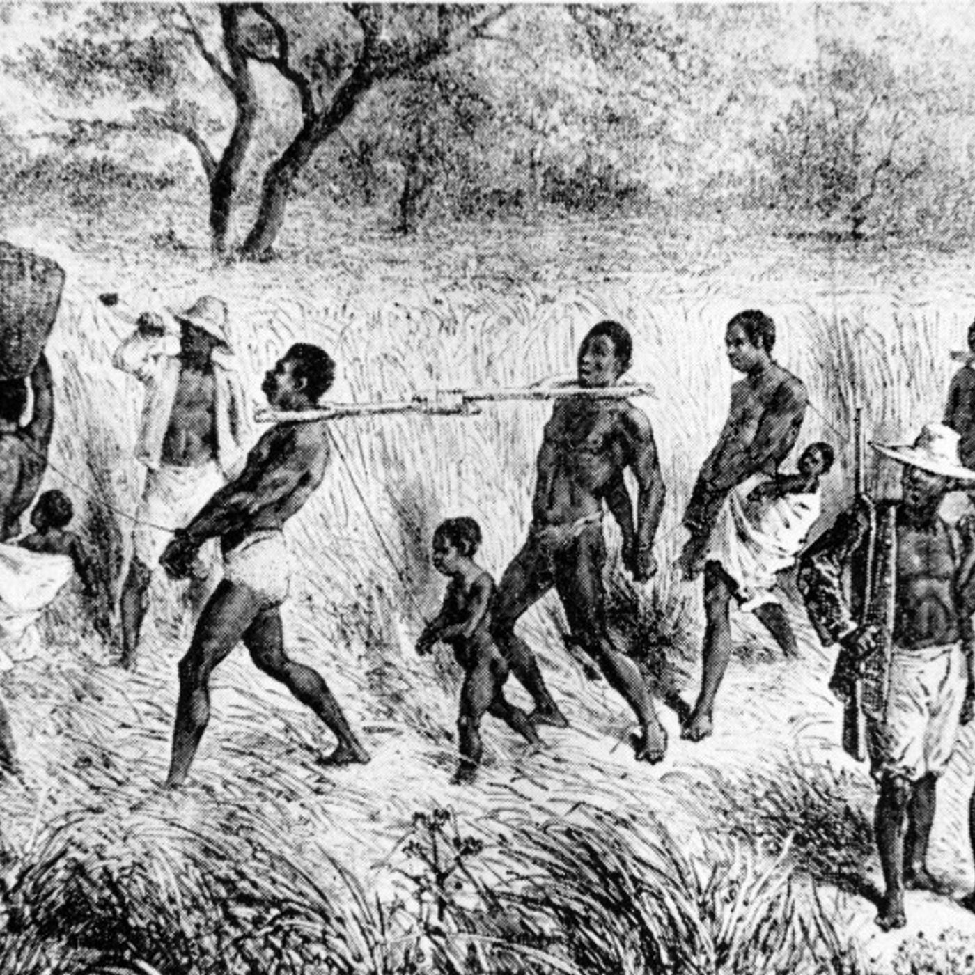 Società sudista e schiavitù in America episode artwork