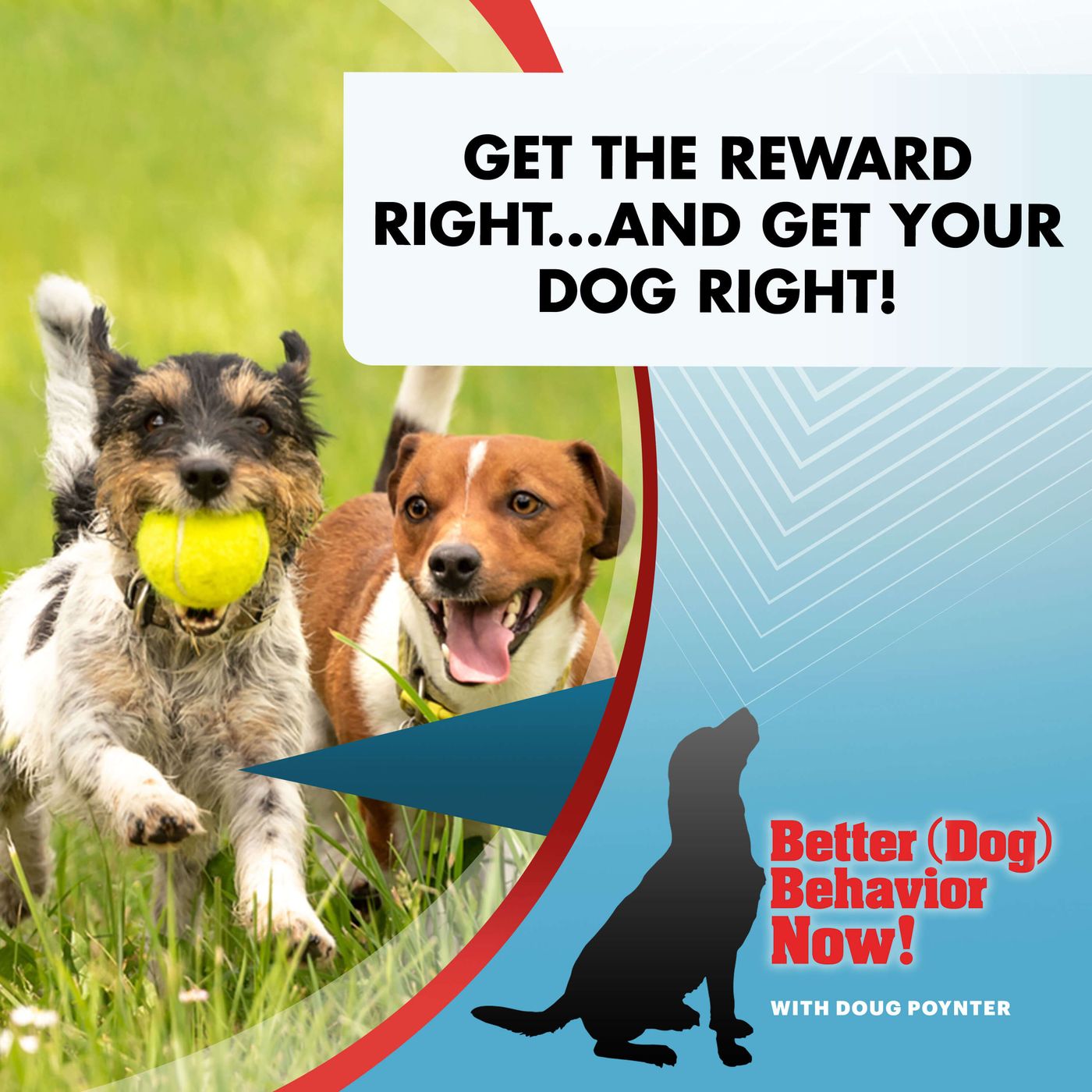 Get The Reward Right...And Get Your Dog Right! episode artwork