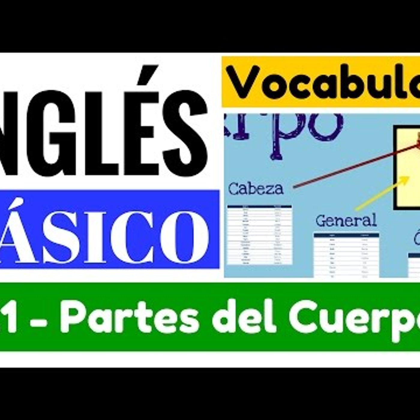 21. Vocabulario de las partes del cuerpo general, cabeza, organos Yes en Inglés 1 [Video 21]