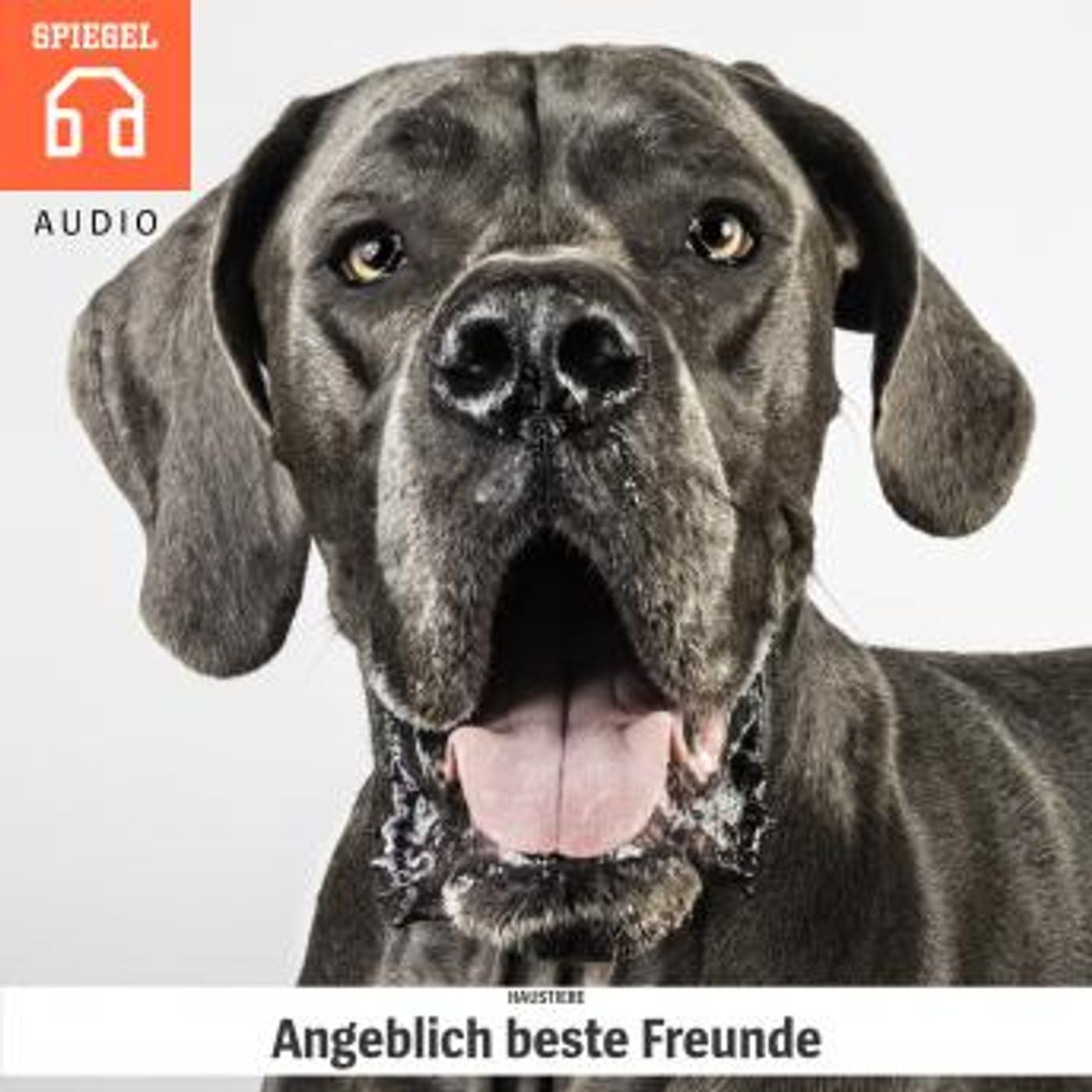 Download New Full Audiobooks in Non-Fiction, Animals & Nature