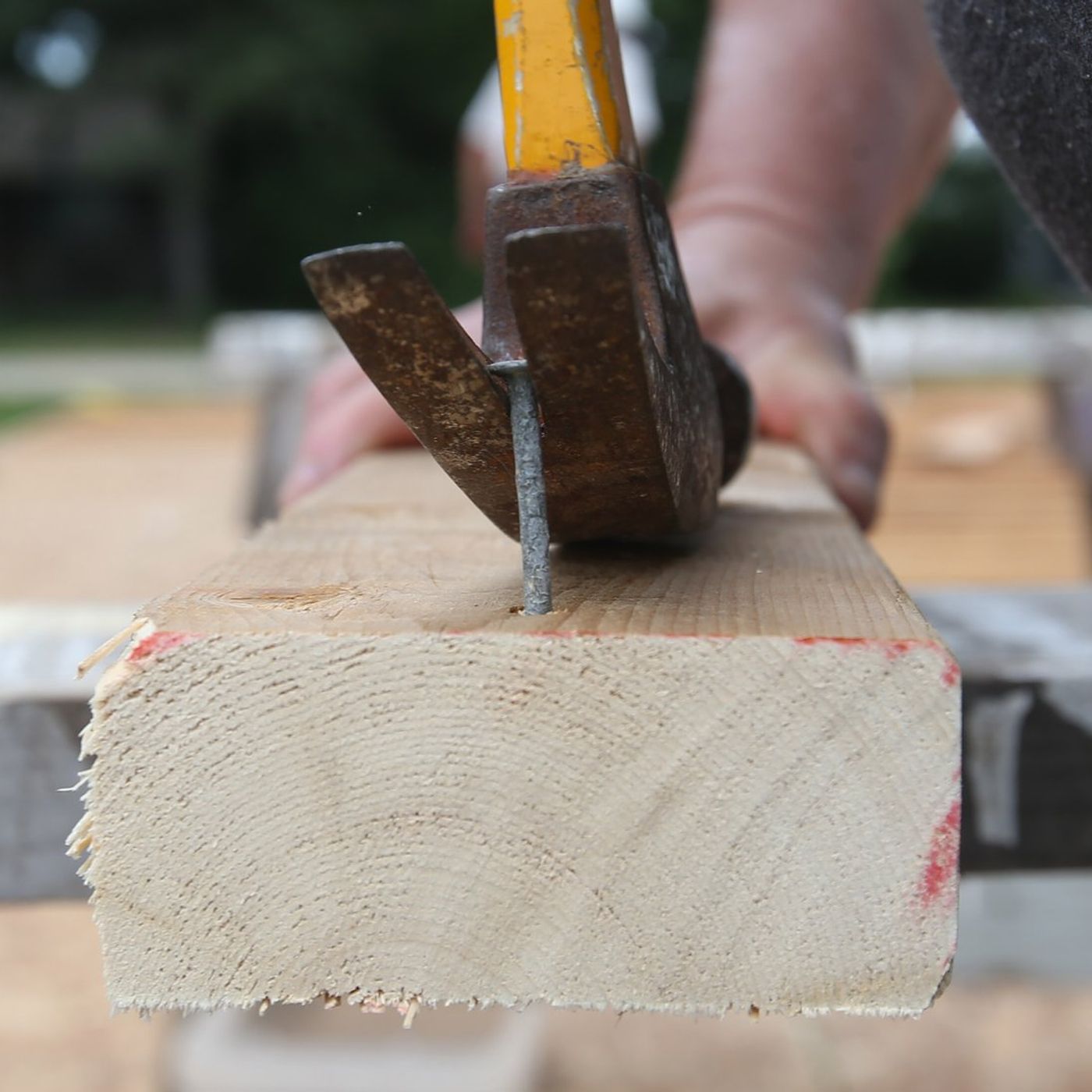 Shaw Local Radio Podcast: Habitat Restore’s 5th Anniversary Celebration episode artwork
