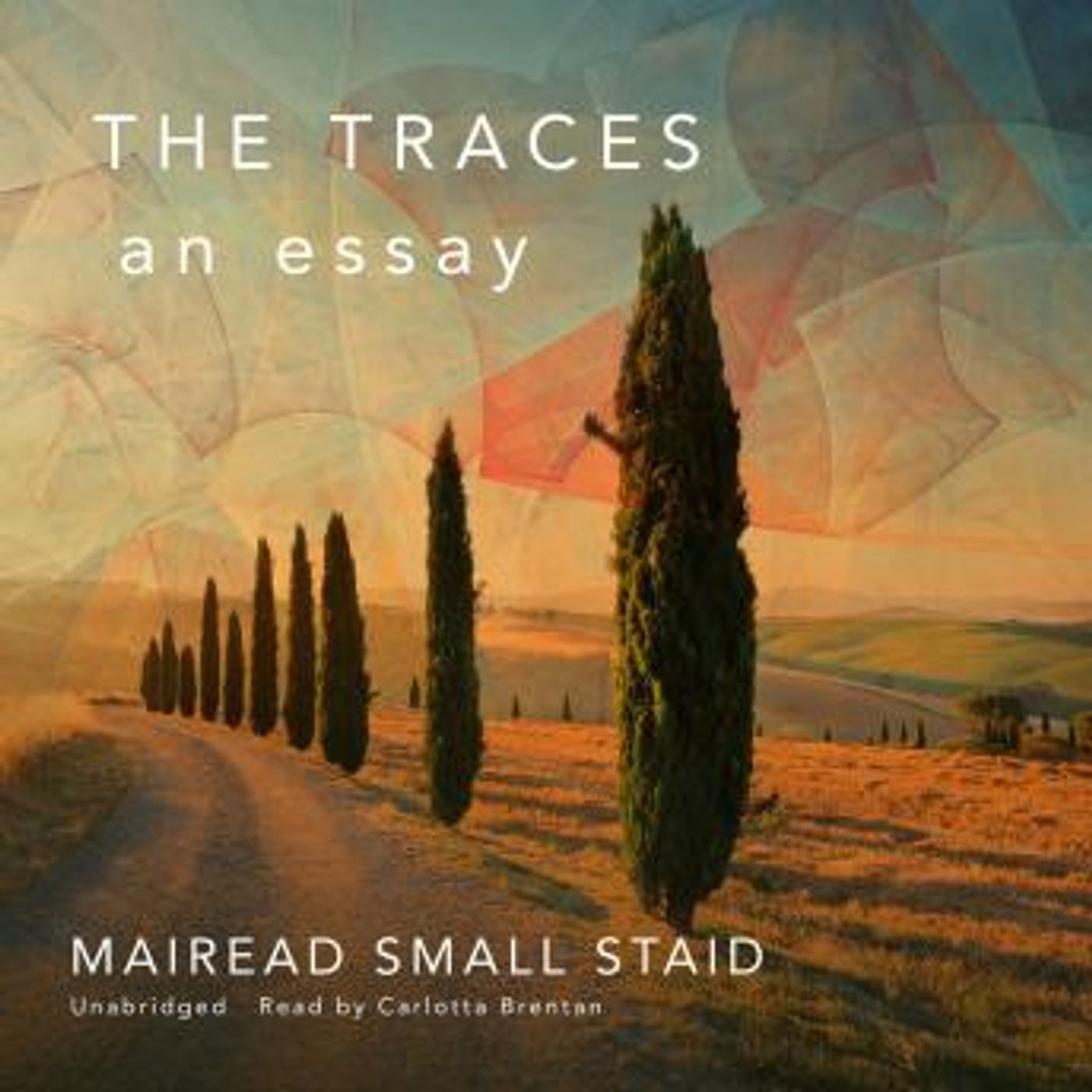 The Traces: An Essay by Mairead Small Staid episode artwork