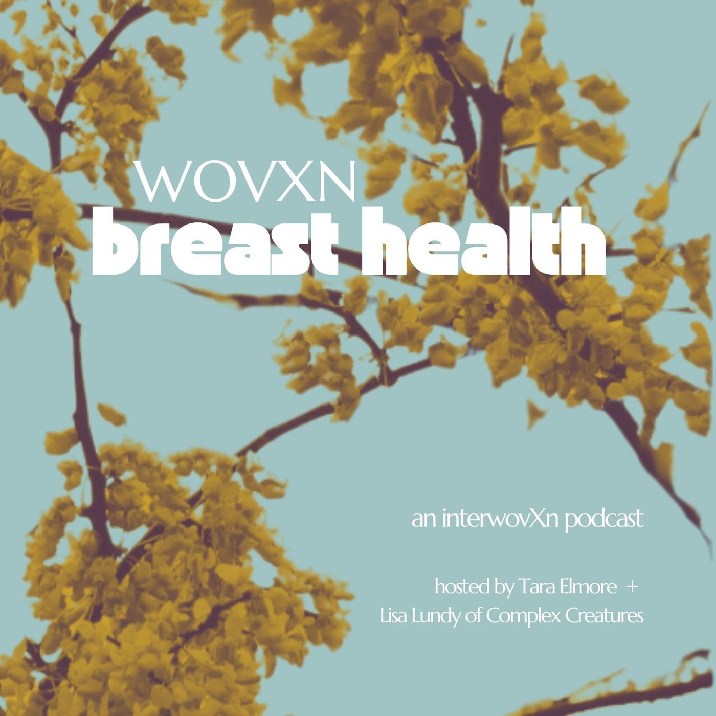 WOVXN Breast Health: Introduction to Tara episode artwork