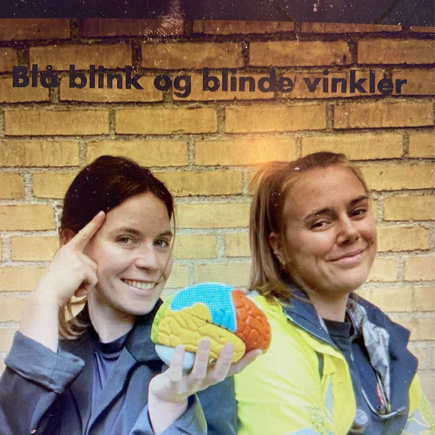 Blå Blink Og Blinde Vinkler af Ellen Halldorsson
