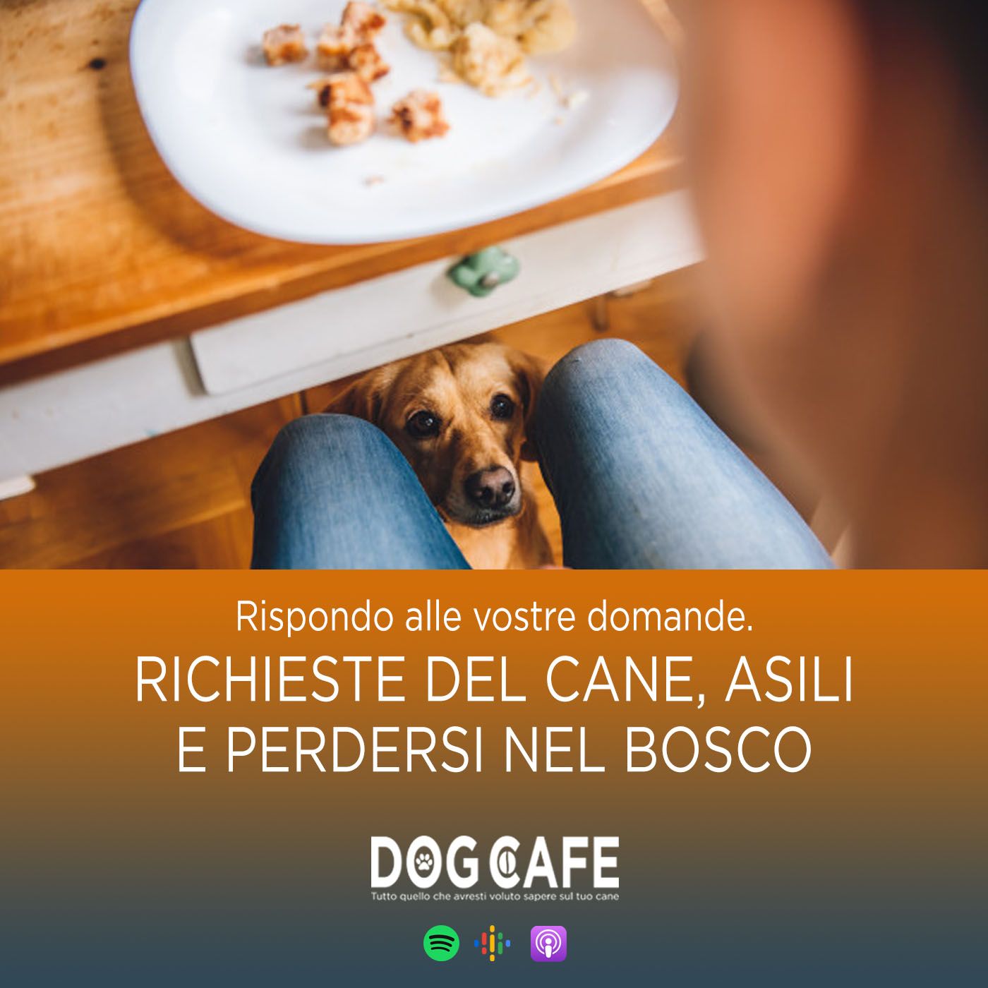Dog Cafe Podcast
