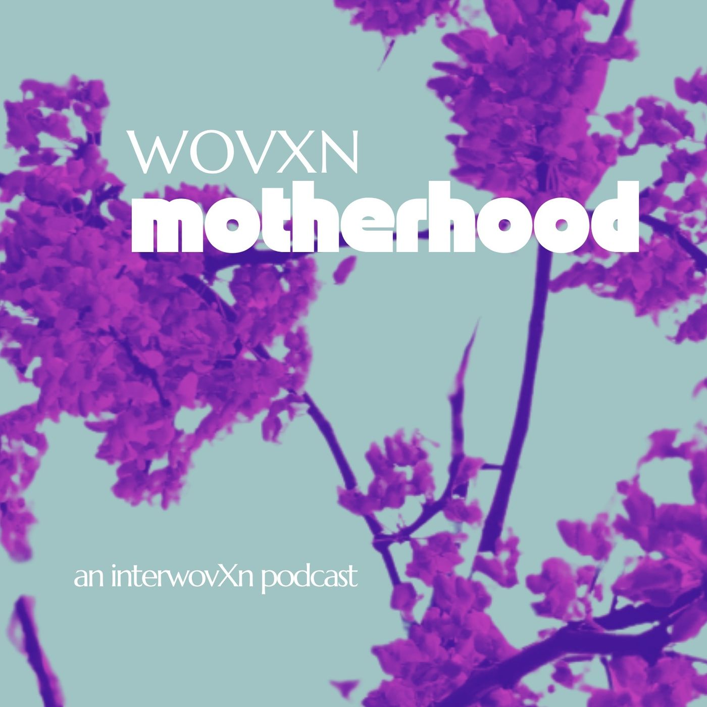 WOVXN Motherhood: Postpartum 101 for the Partners episode artwork