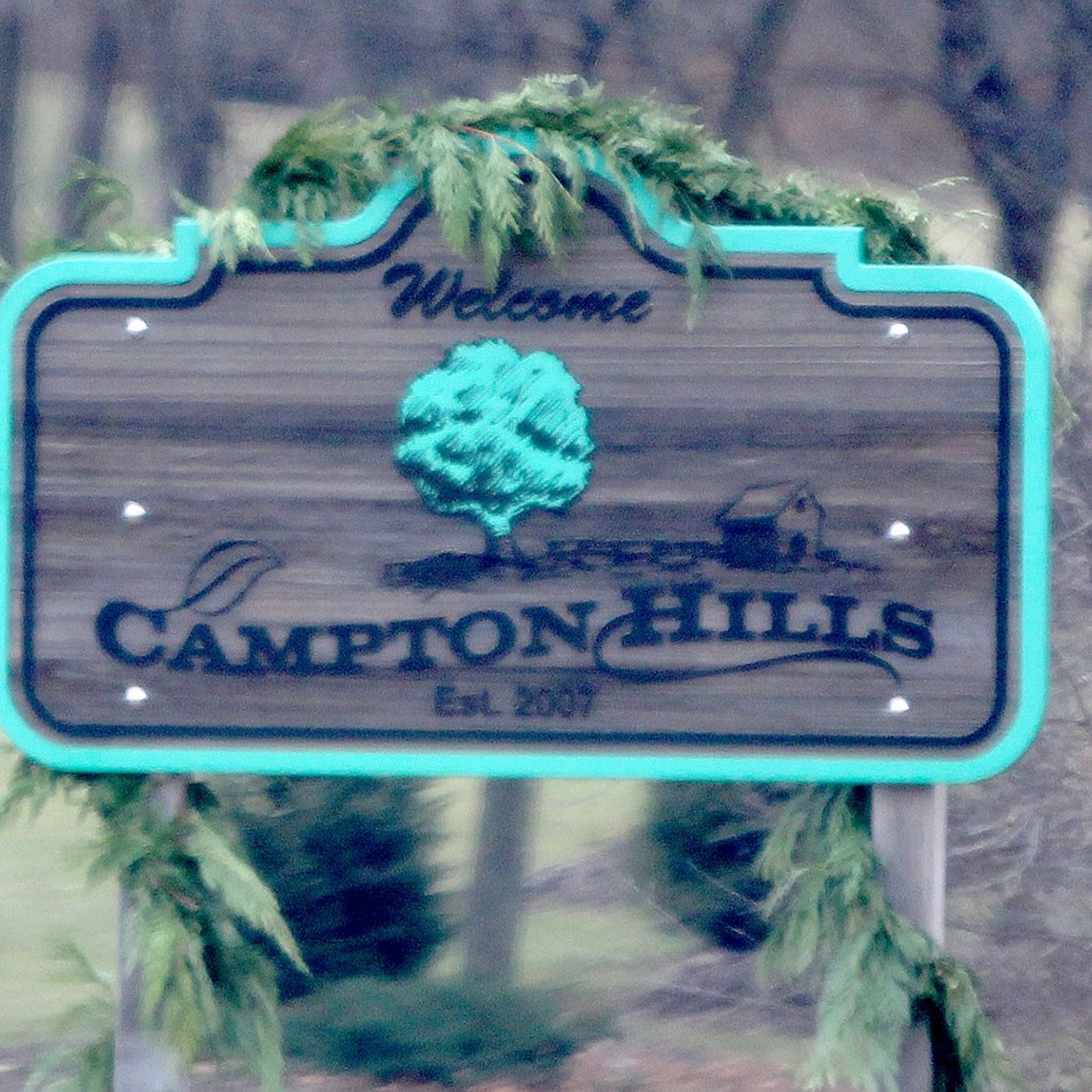 Campton Hills Treasurer Patsy Smith keeps post after move to rescind her appointment fails