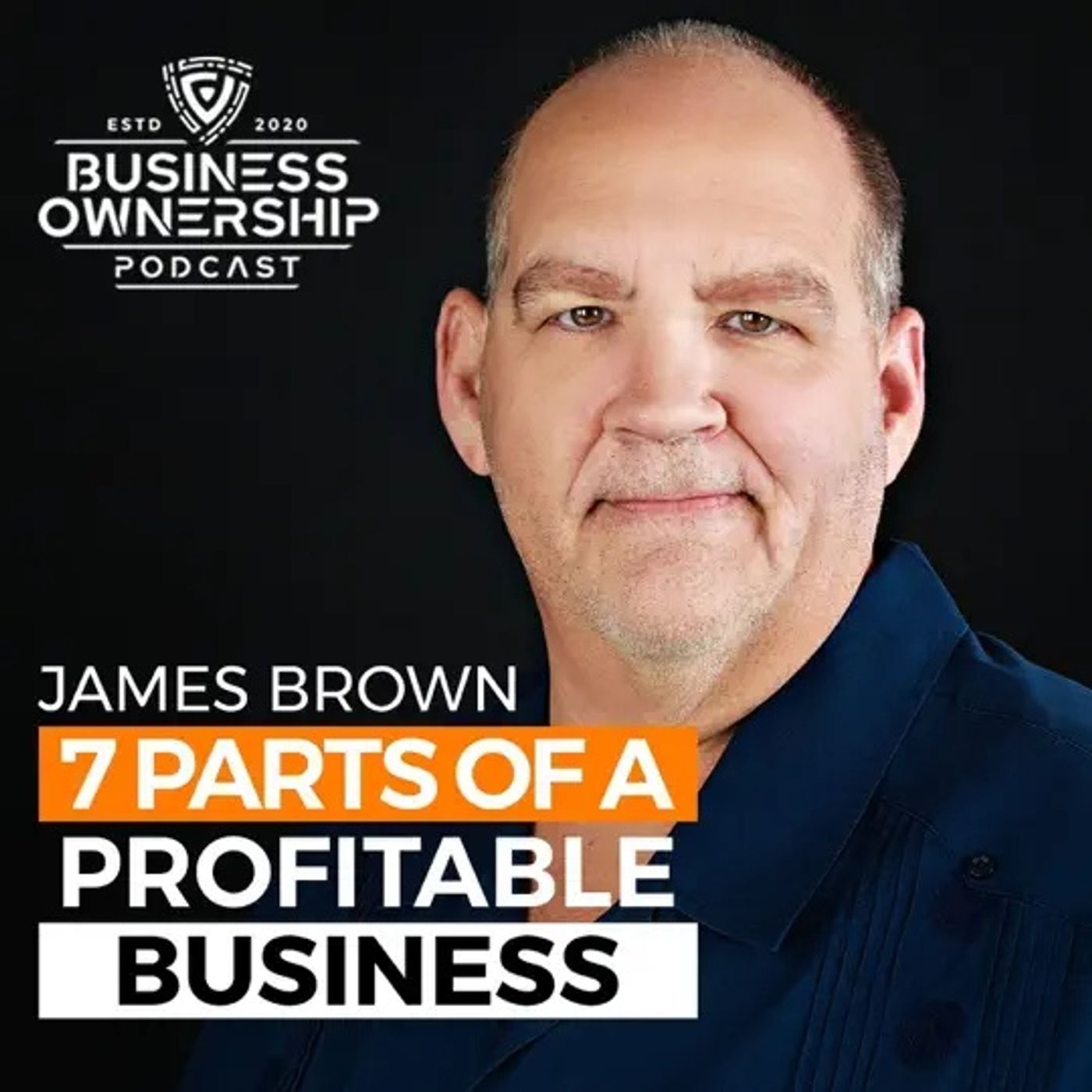 The Seven Foundations of Business Profitability by James Brown episode artwork