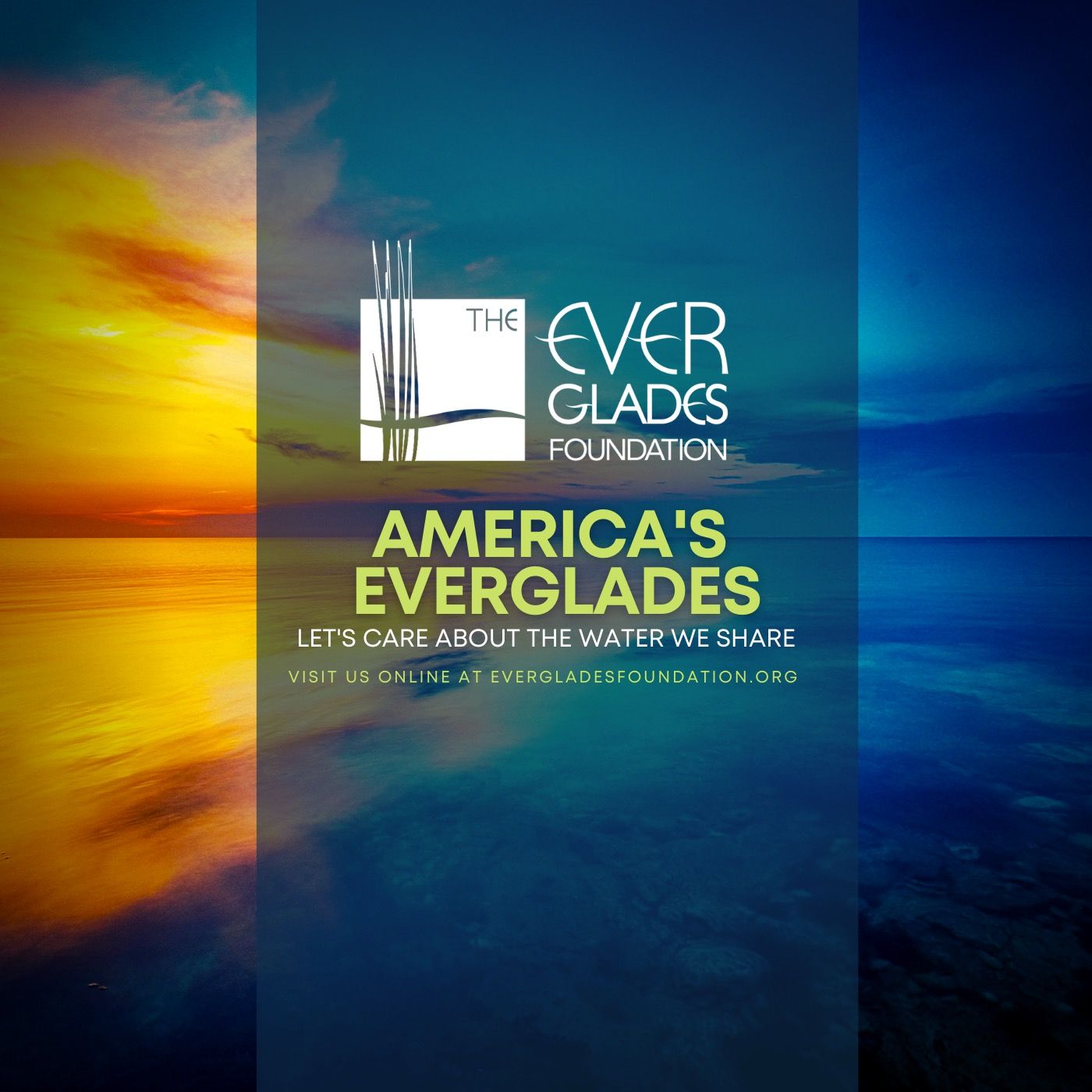 The Everglades Foundation