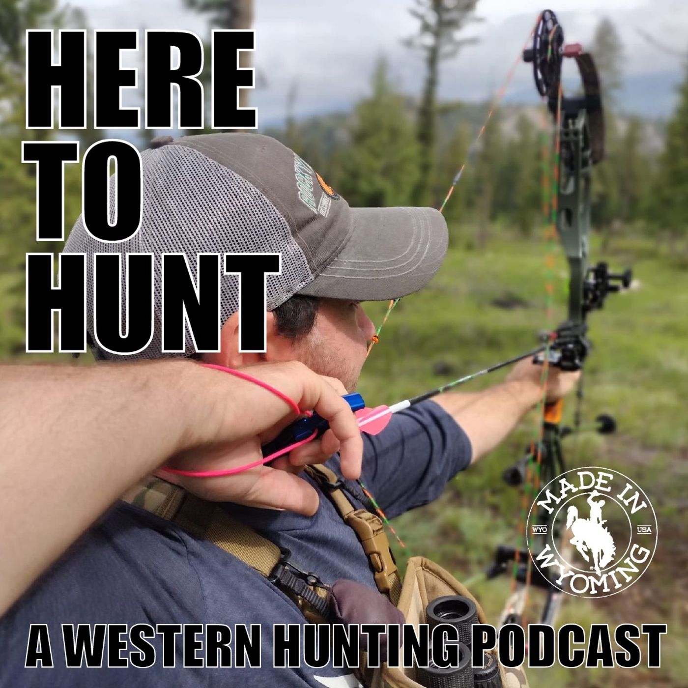 003 - Accurizing & Tuning Your Bow episode artwork