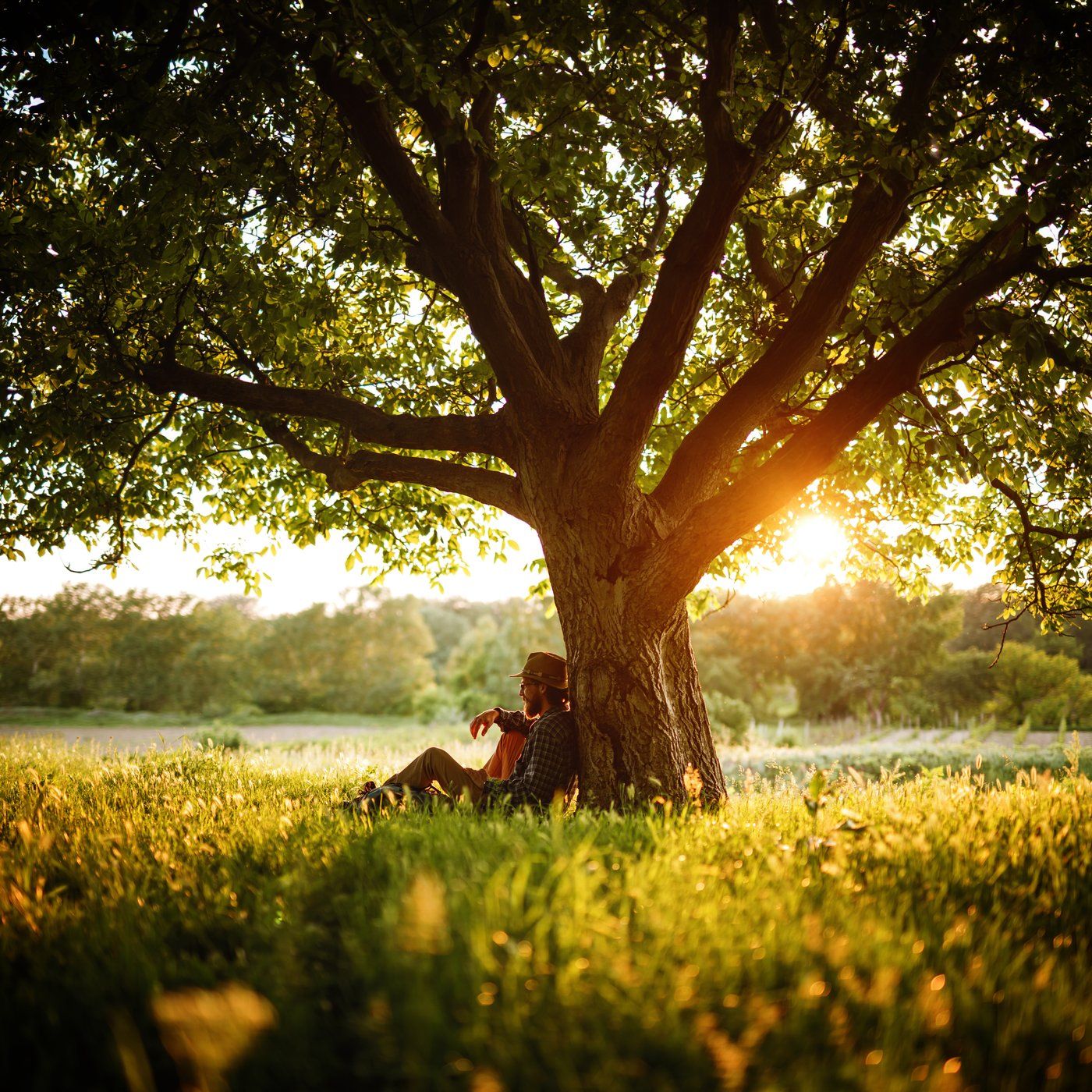 Natural Tinnitus Relief - 10 Hours Sleep Sound episode artwork