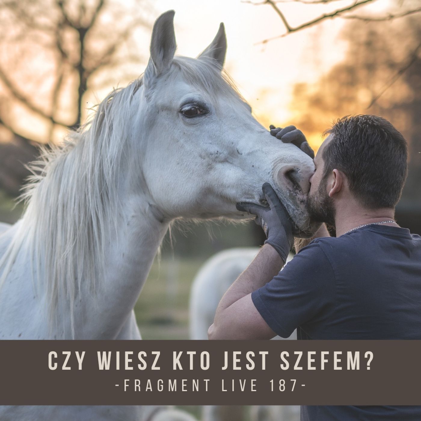 Czy wiesz kto jest szefem - Fragment live 187