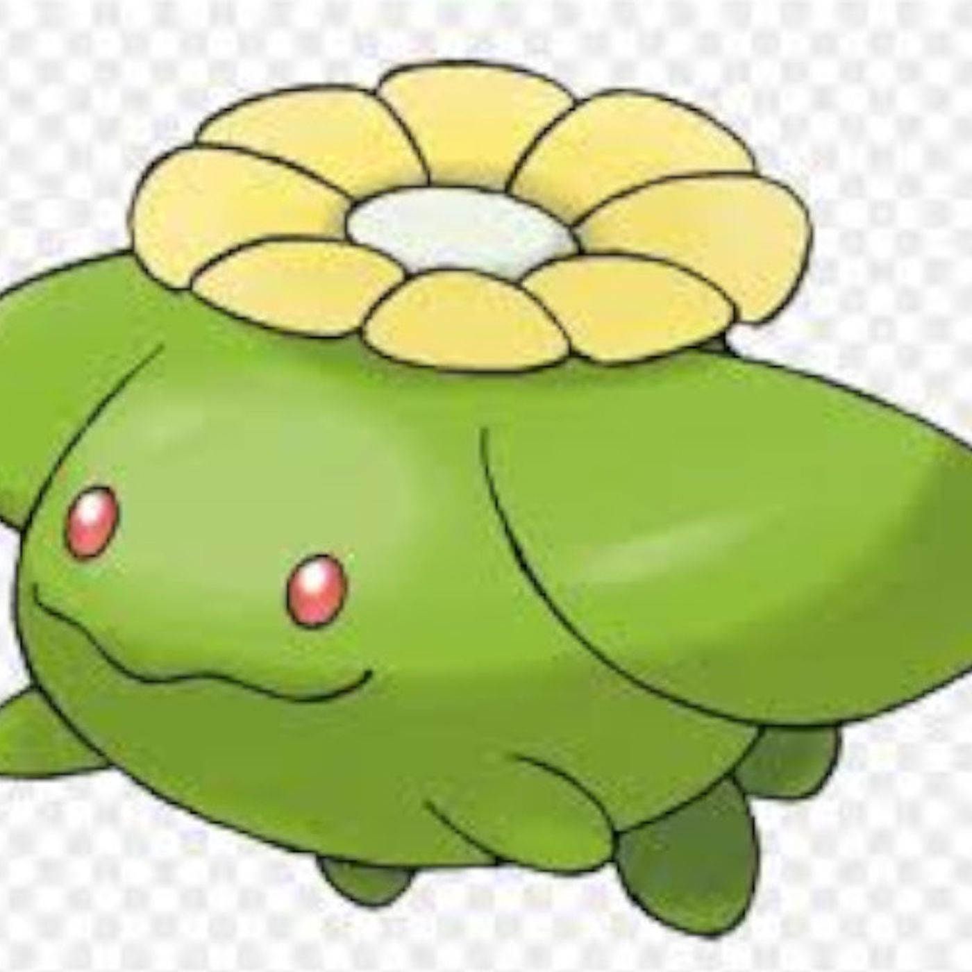 #188 Skiploom