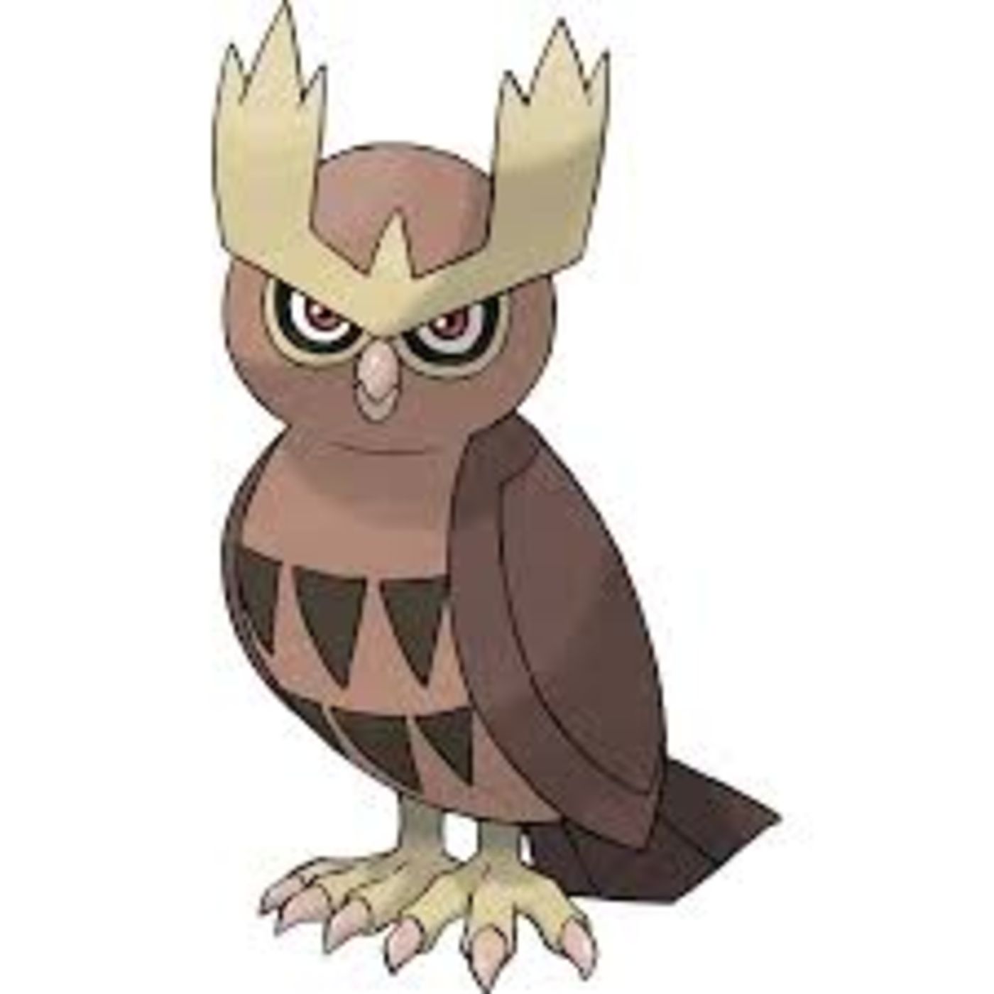 #164 Noctowl