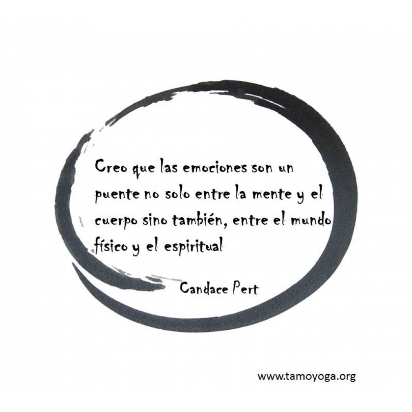 Meditación , concepto de Dantien , creando mi nueva web episode artwork
