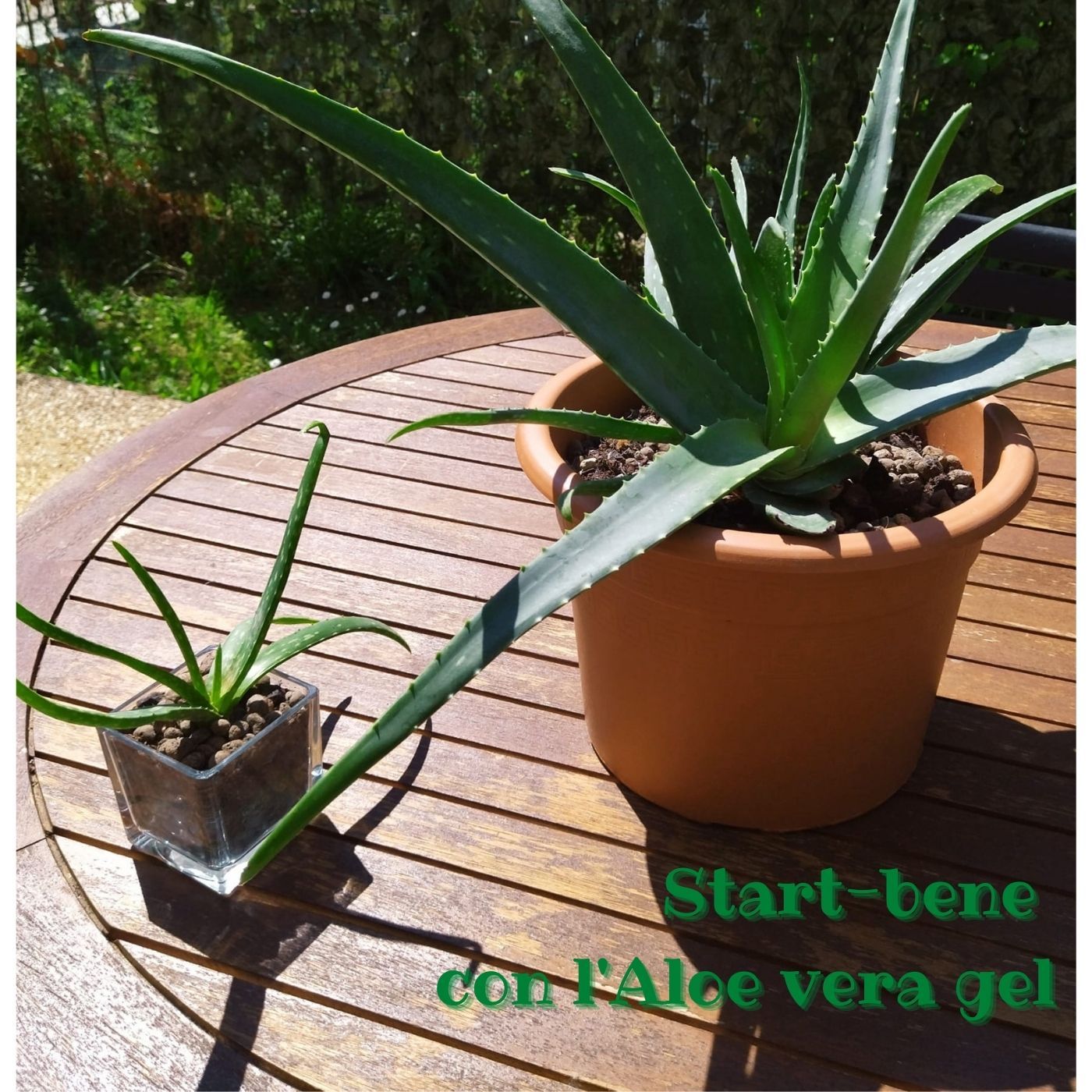 Startbene Meditazione 15 minuti