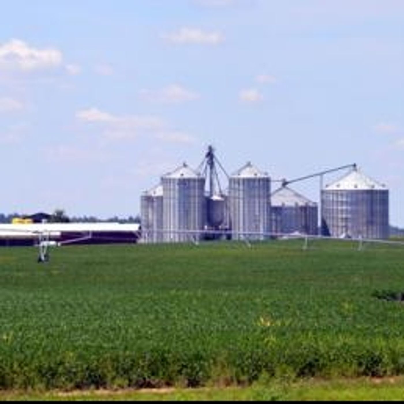 Food and Farm